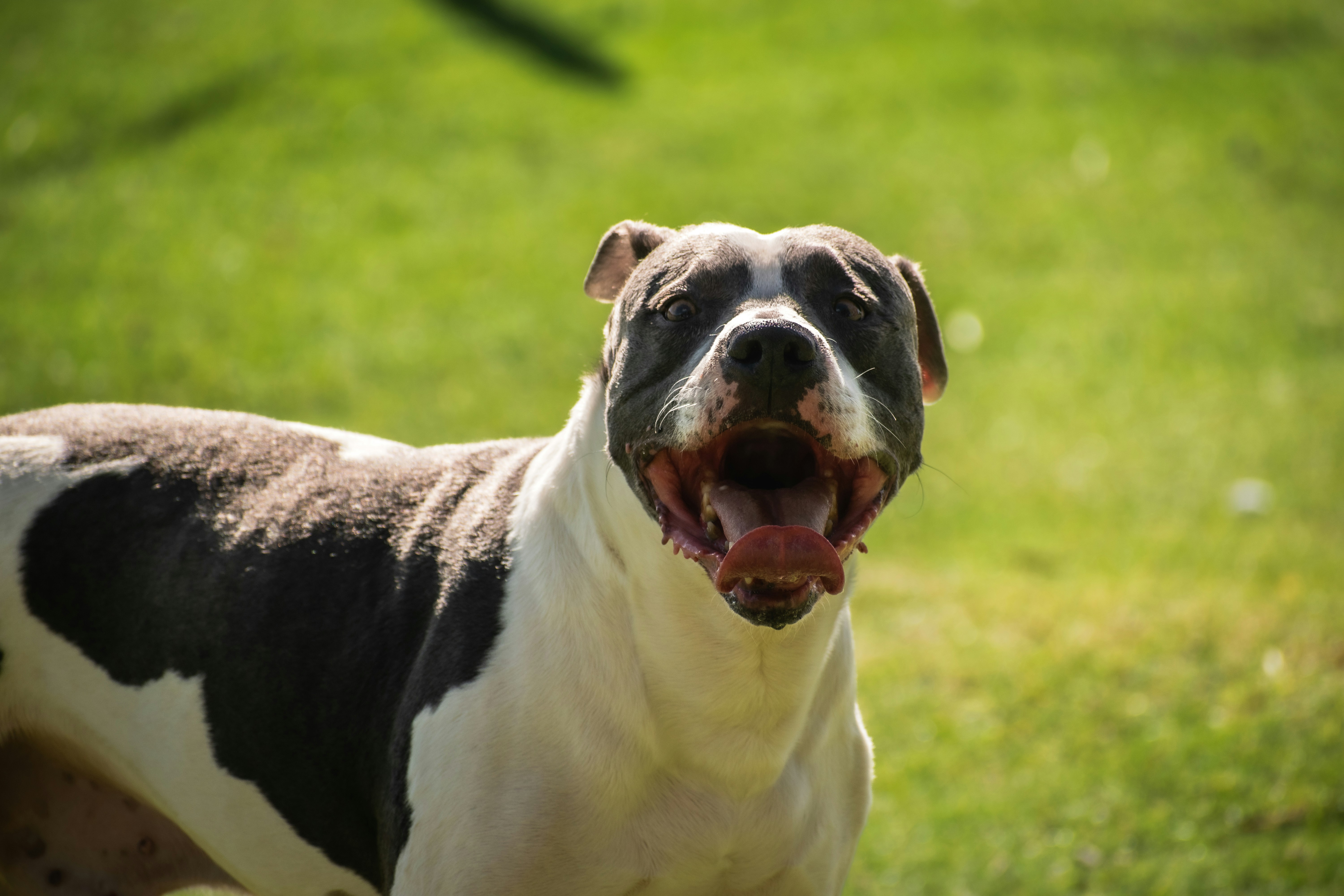 Photo by sebaslaverde_nkn