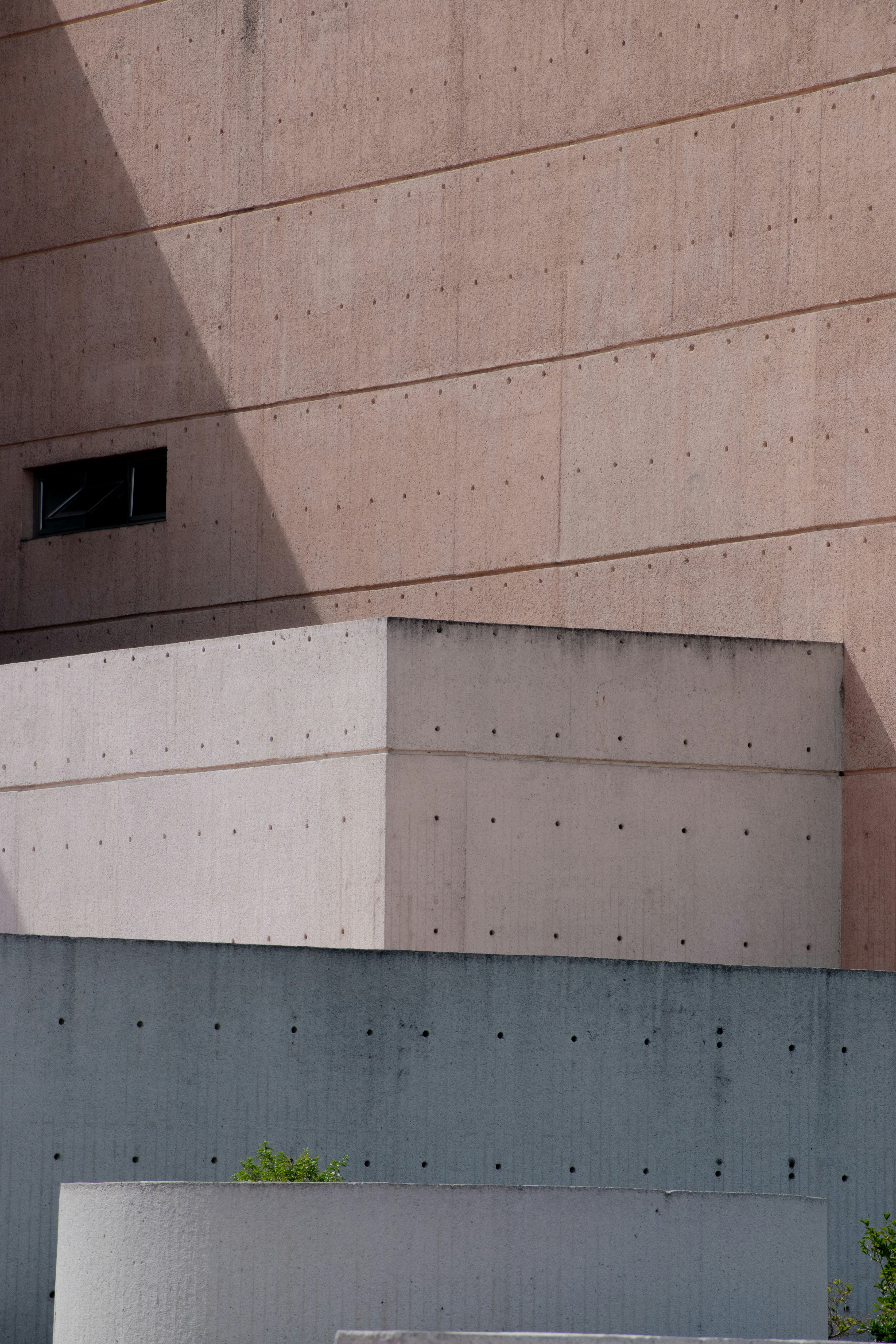 Photo by sebaslaverde_nkn