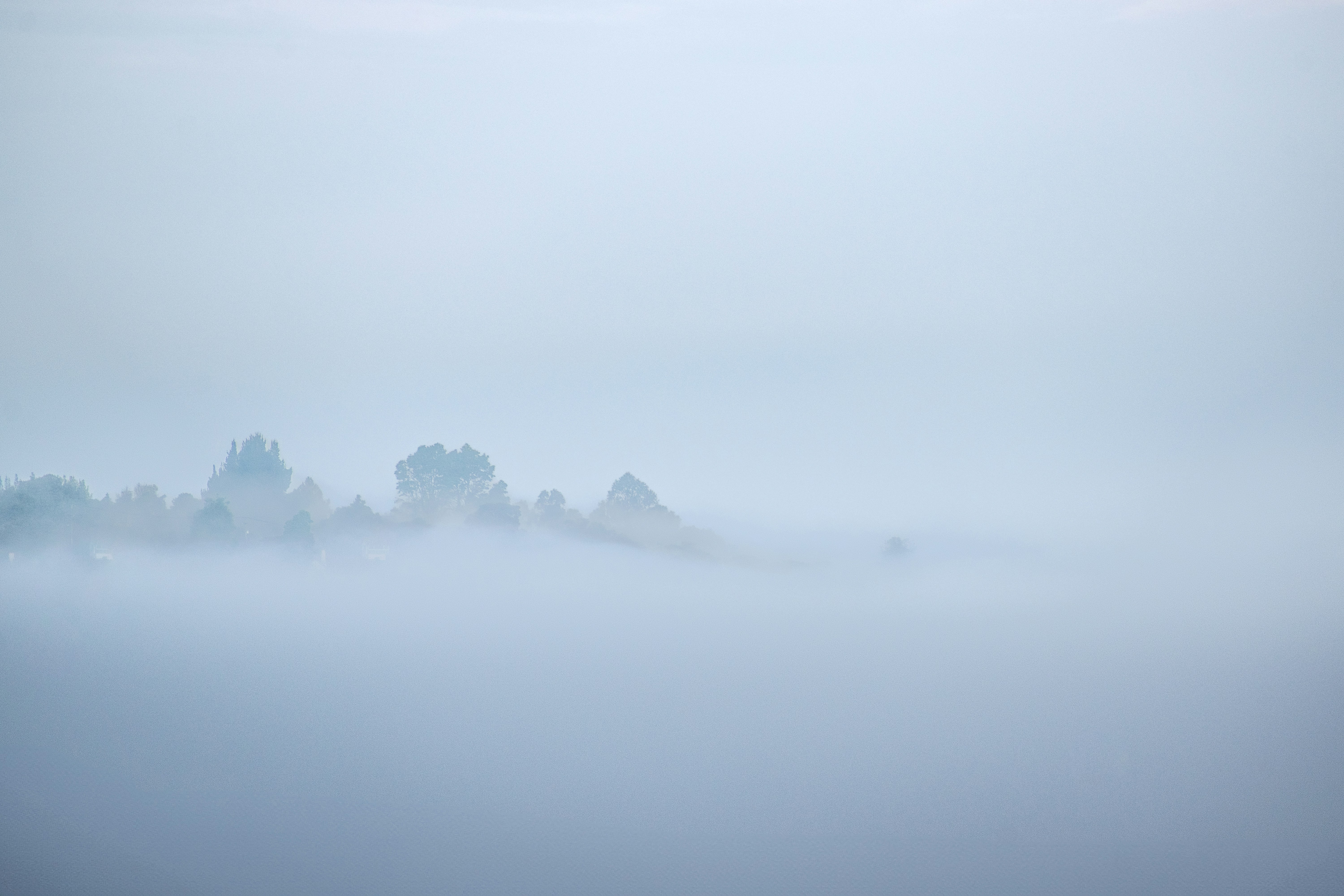 Photo by sebaslaverde_nkn