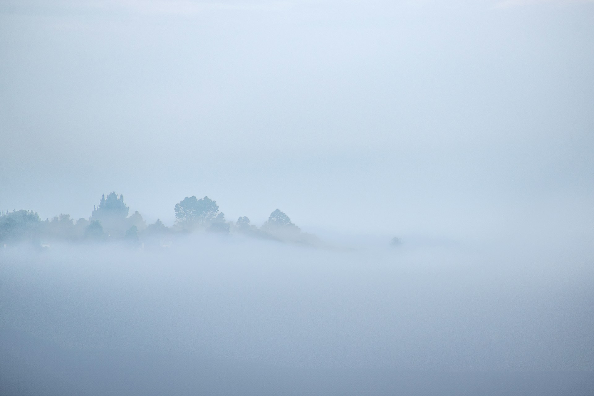 A foggy landscape with trees in the distance