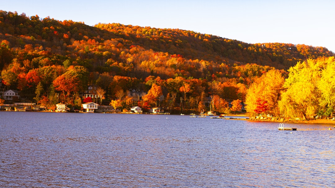 A body of water surrounded by lots of trees