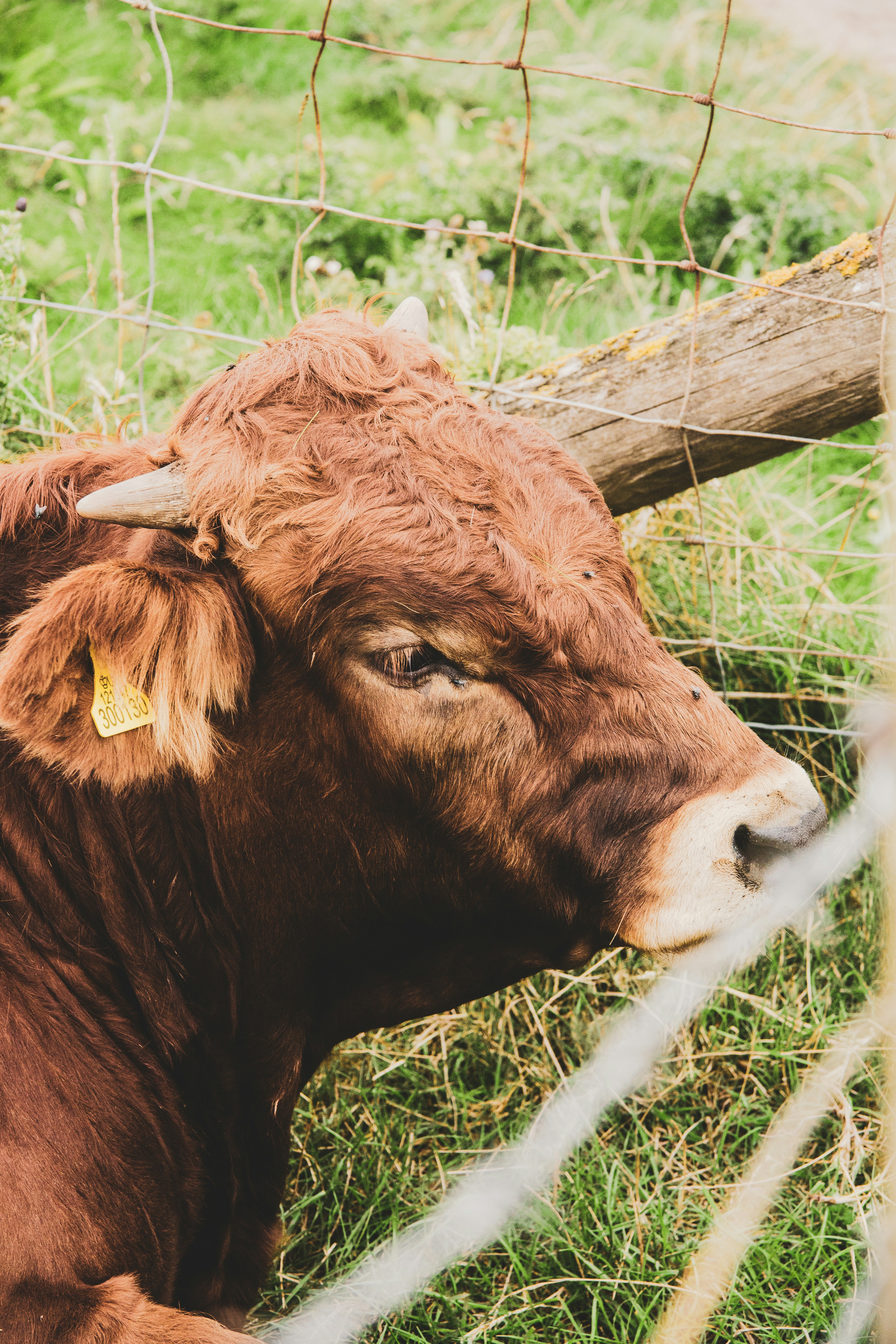 Photo by luke_photography