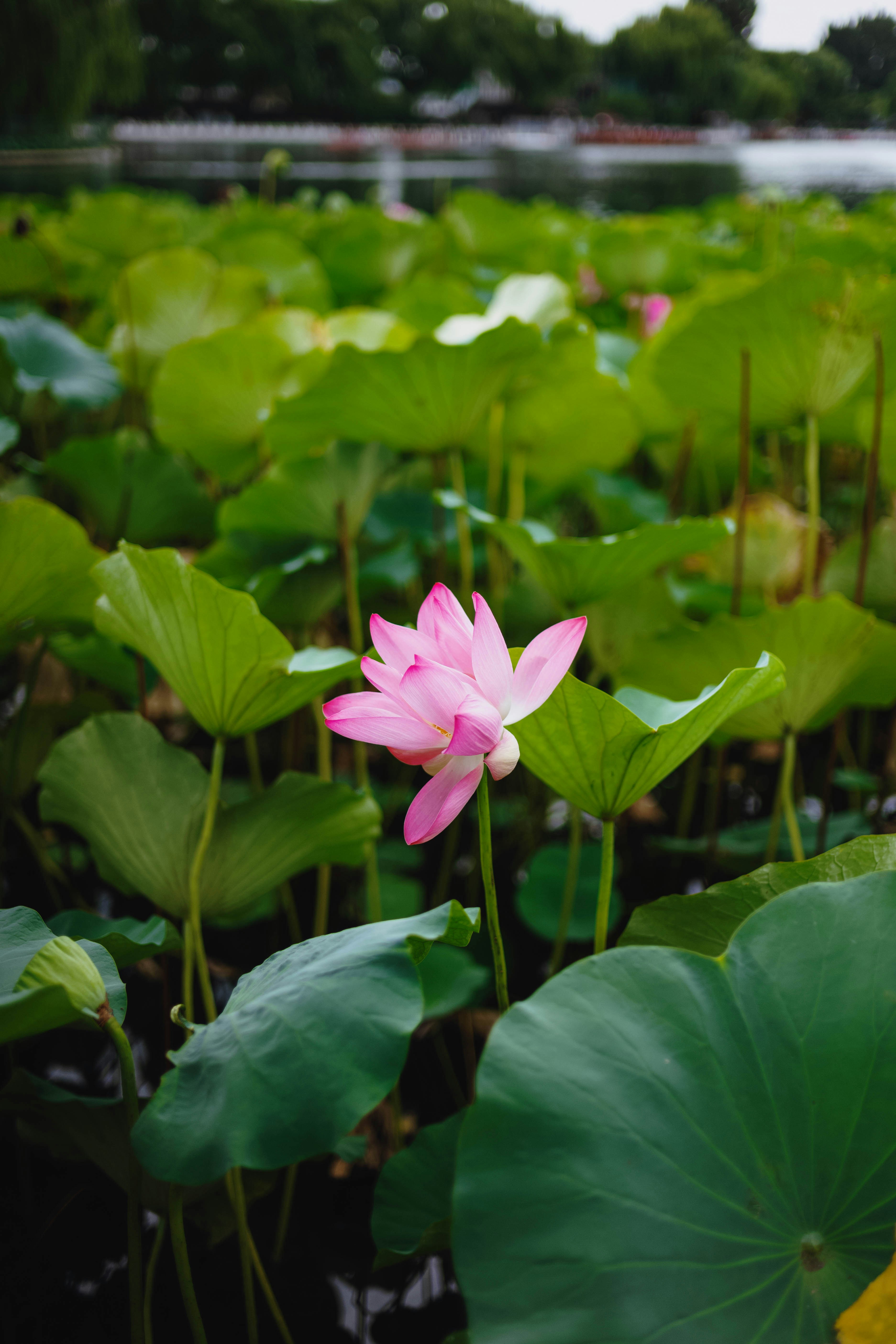 Photo by tommaomaoer