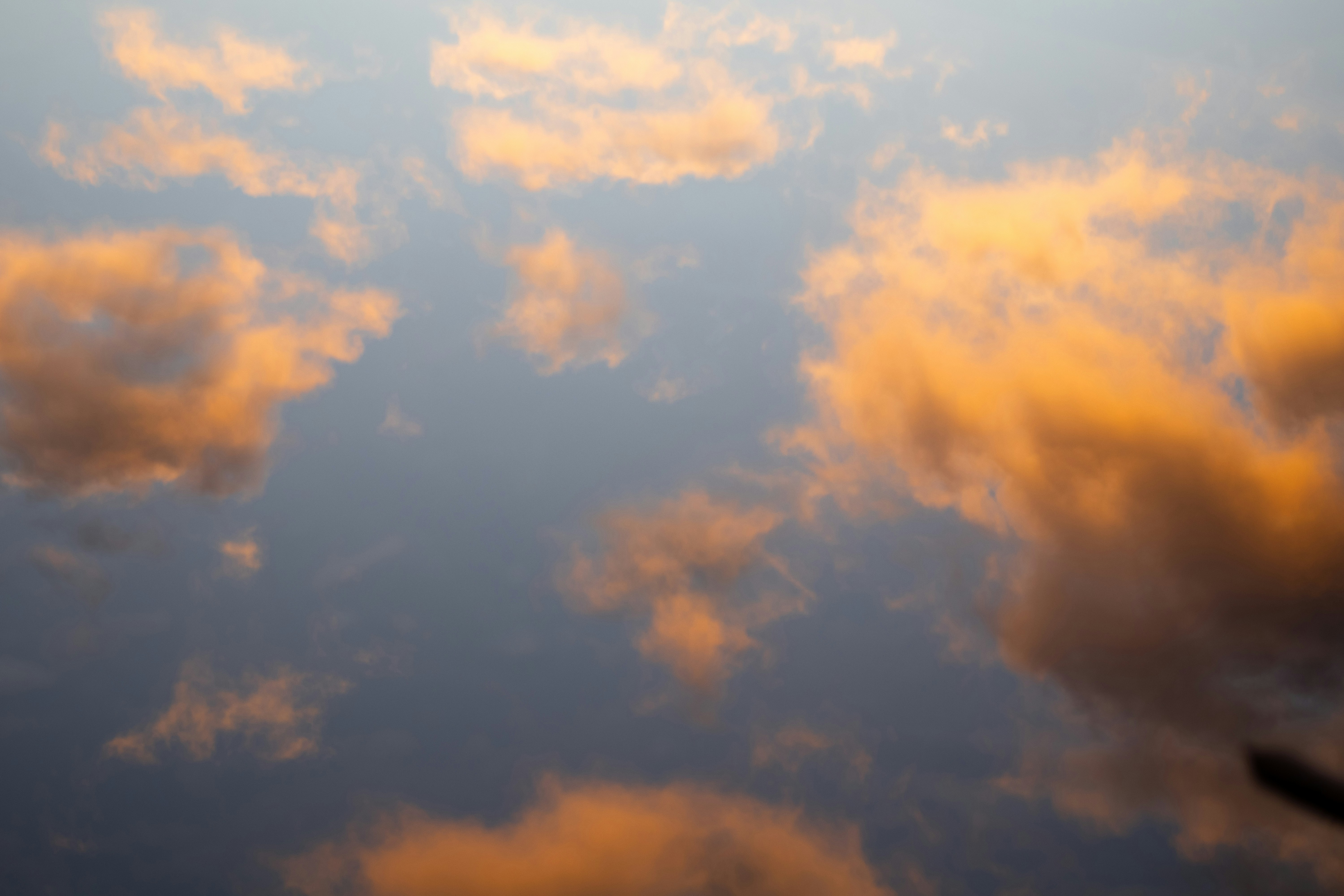 Photo by canary_snaps