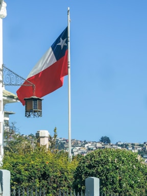 A large texas state flag flying in the wind