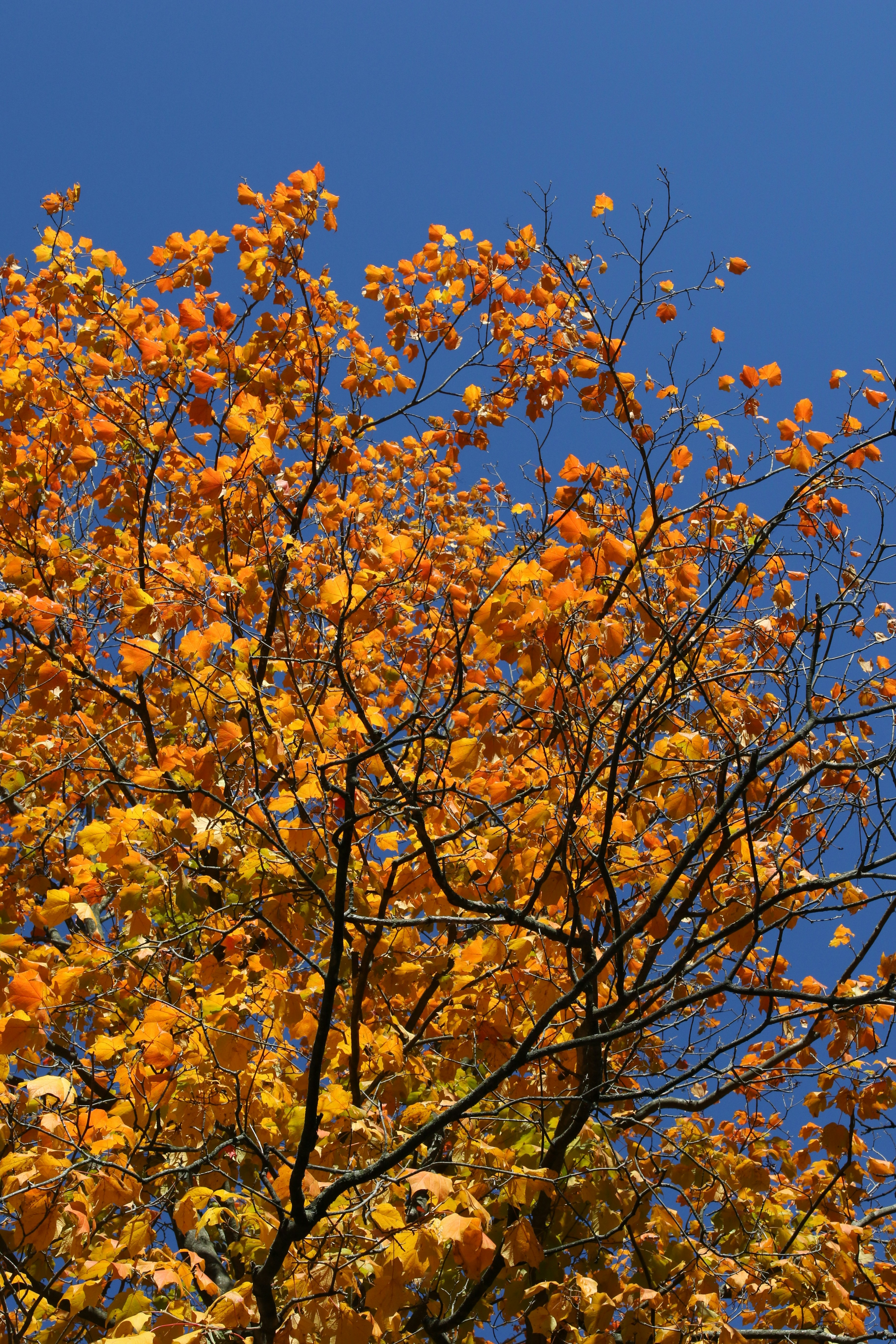 Photo by malenas_photography