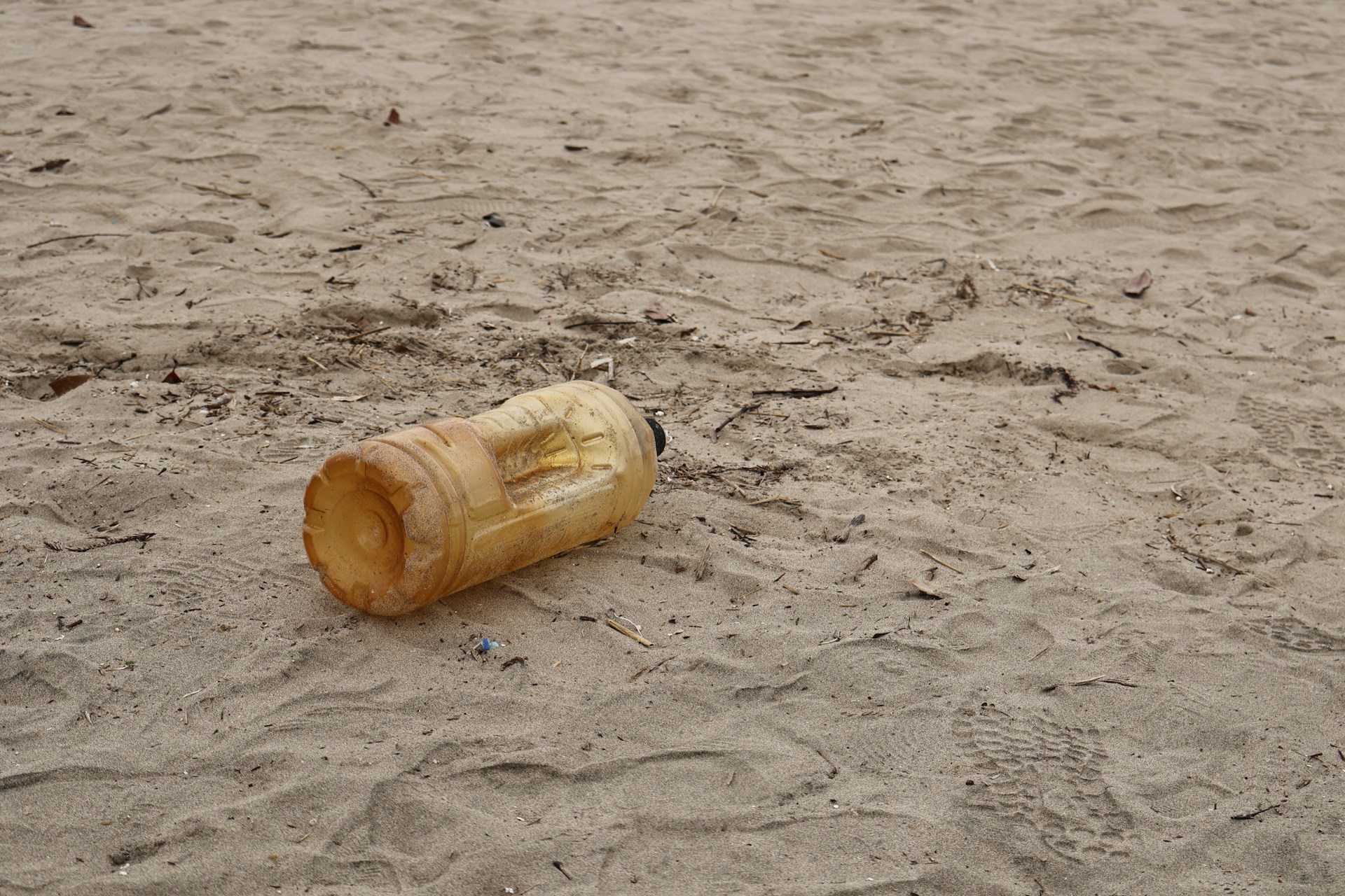 A baseball bat laying in the sand on a beach