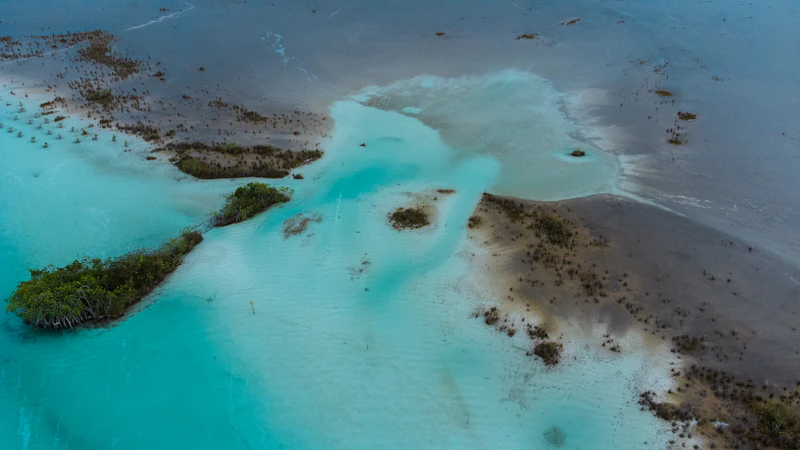 Top Local Coffee Shops in Bacalar Worth Seeking Out