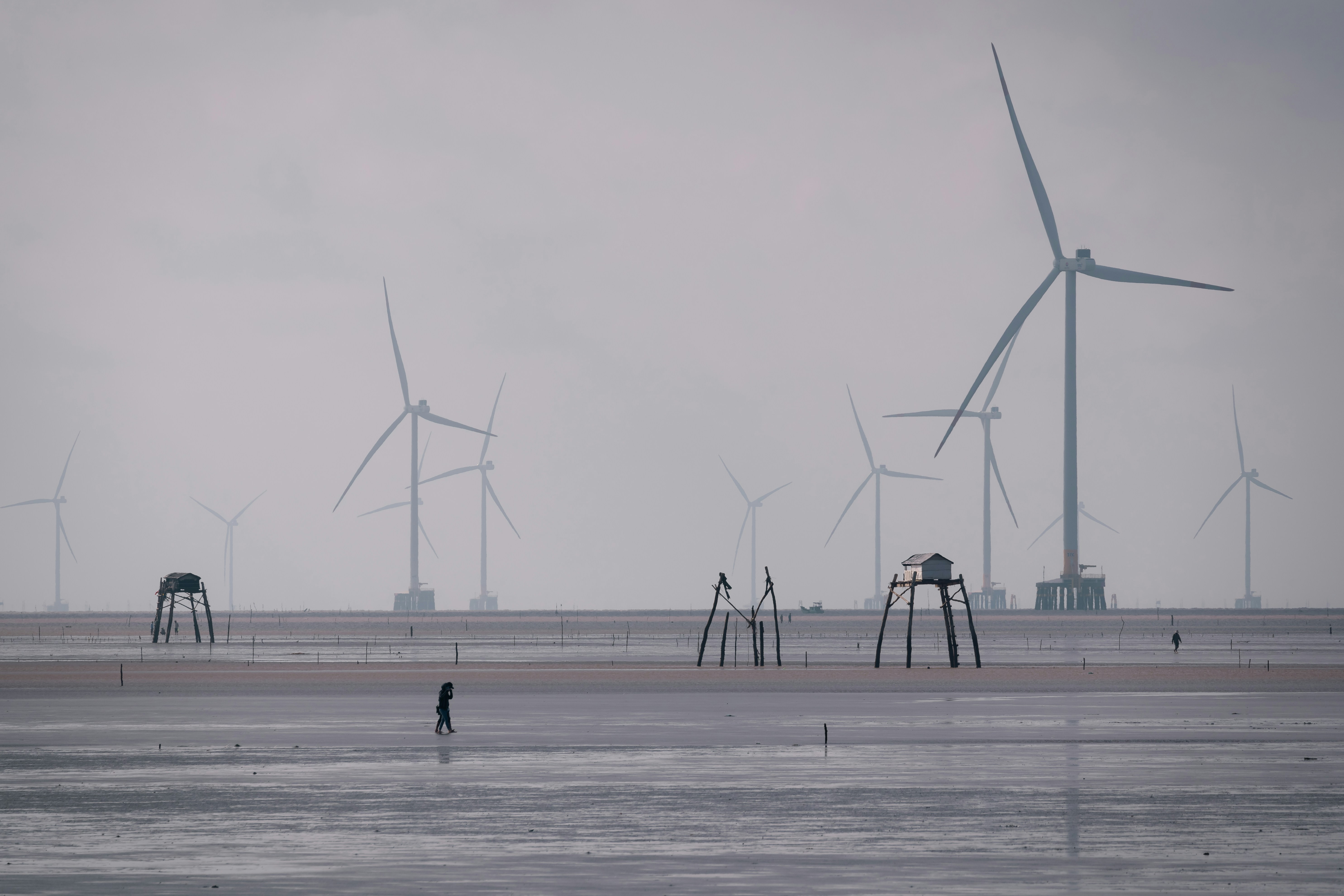A group of people standing on a beach next to wind turbines