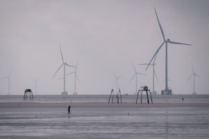 A group of people standing on a beach next to wind turbines