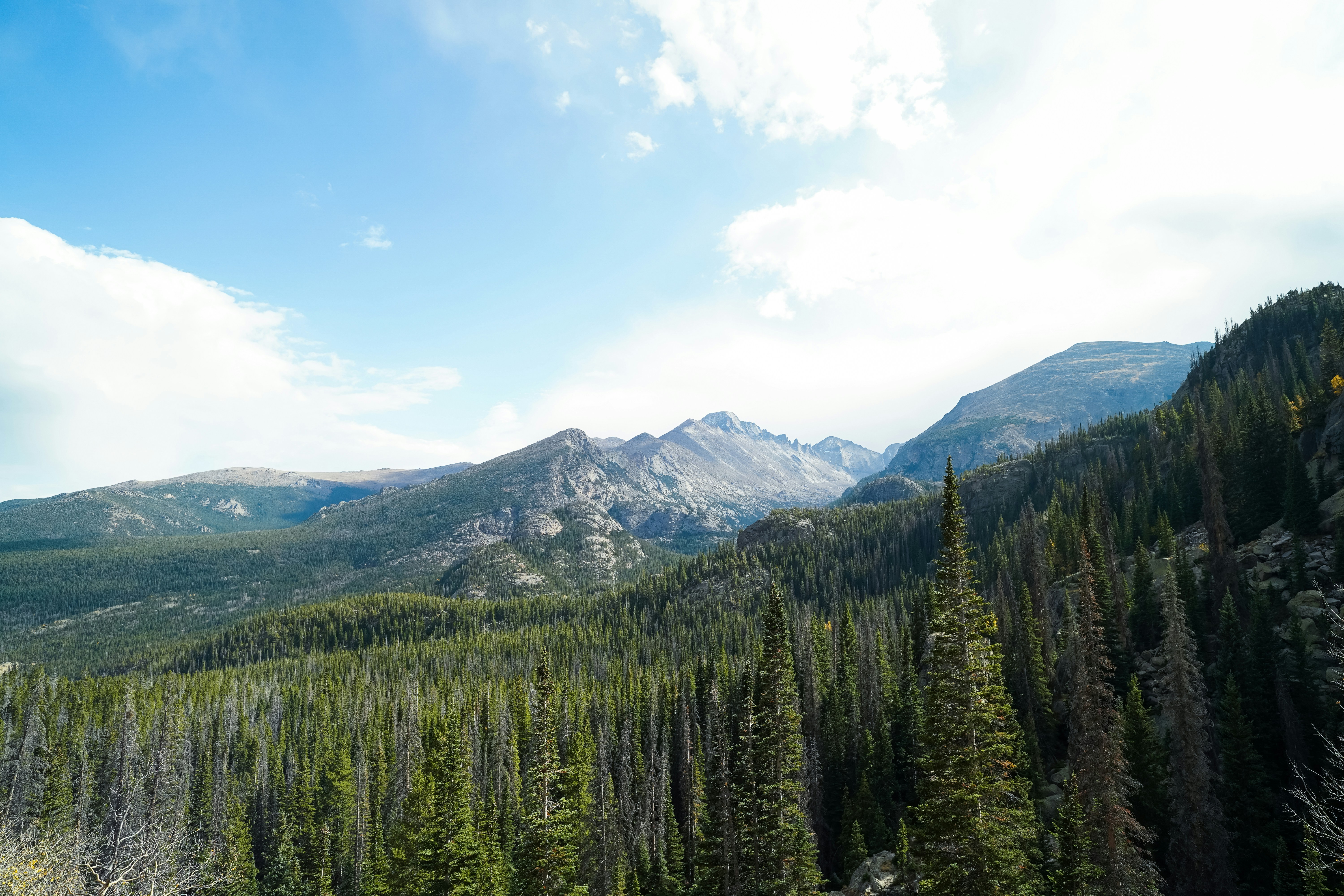 Photo by abdulhaseebmm