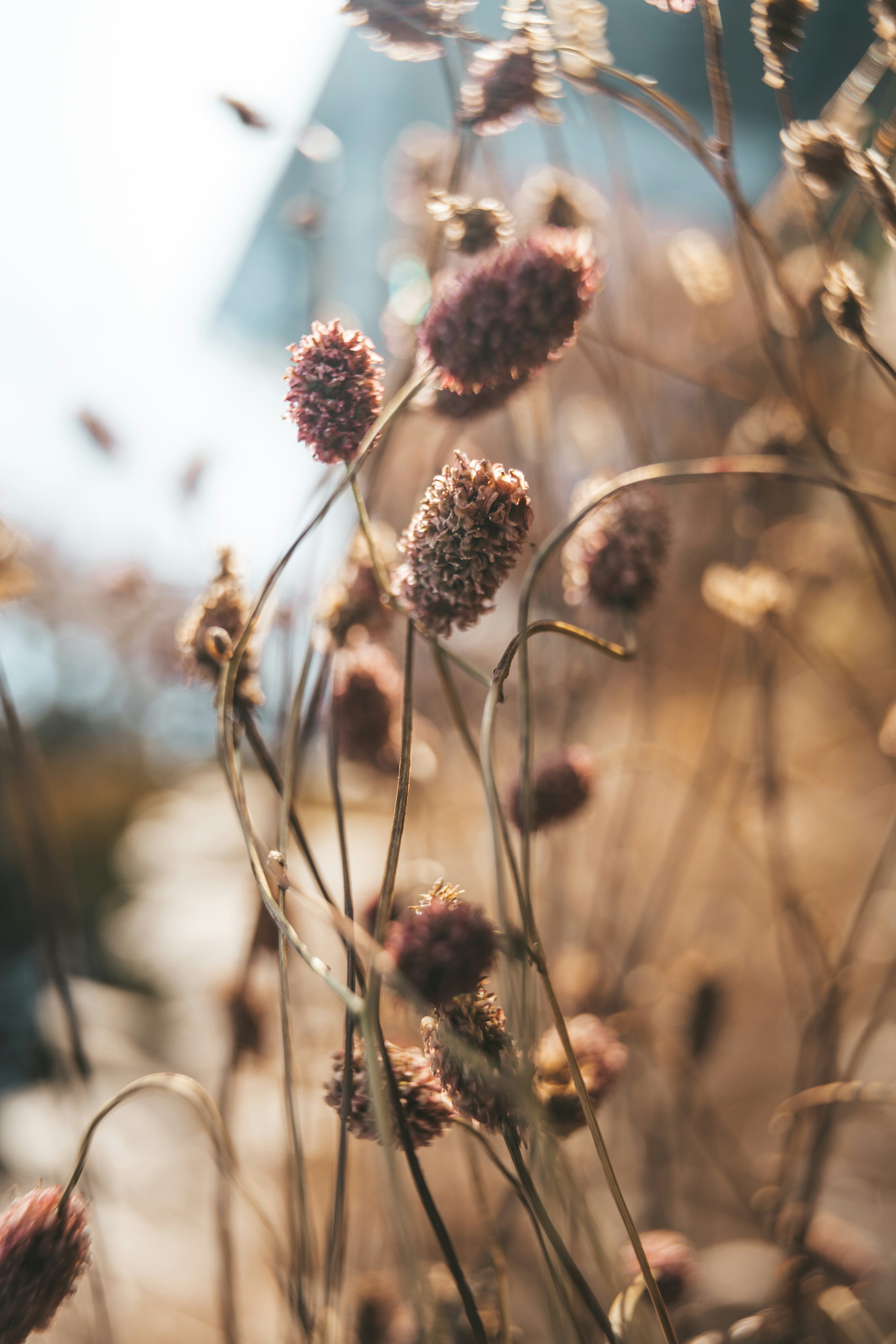 Photo by anamnesis33