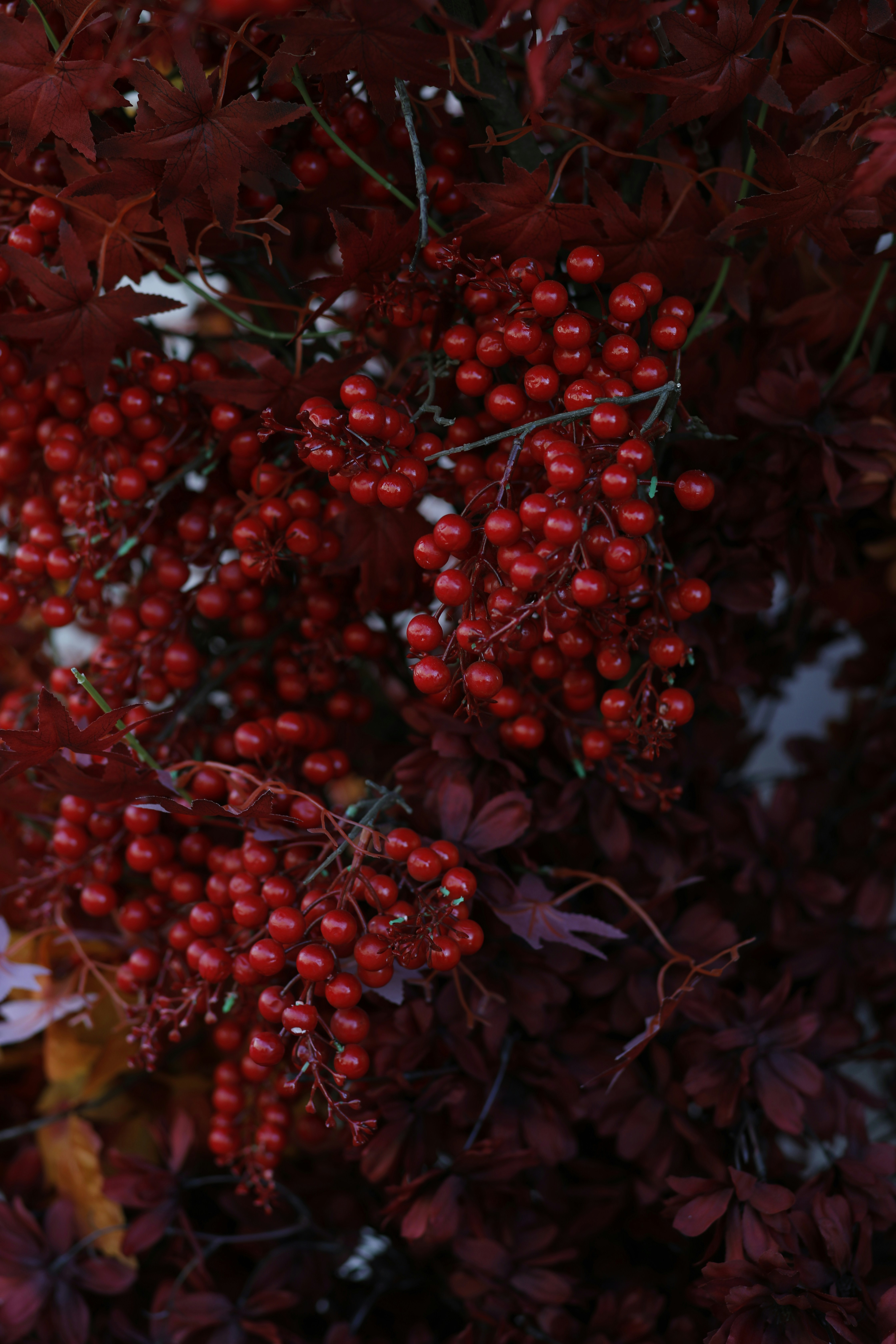 Photo by elimarriott