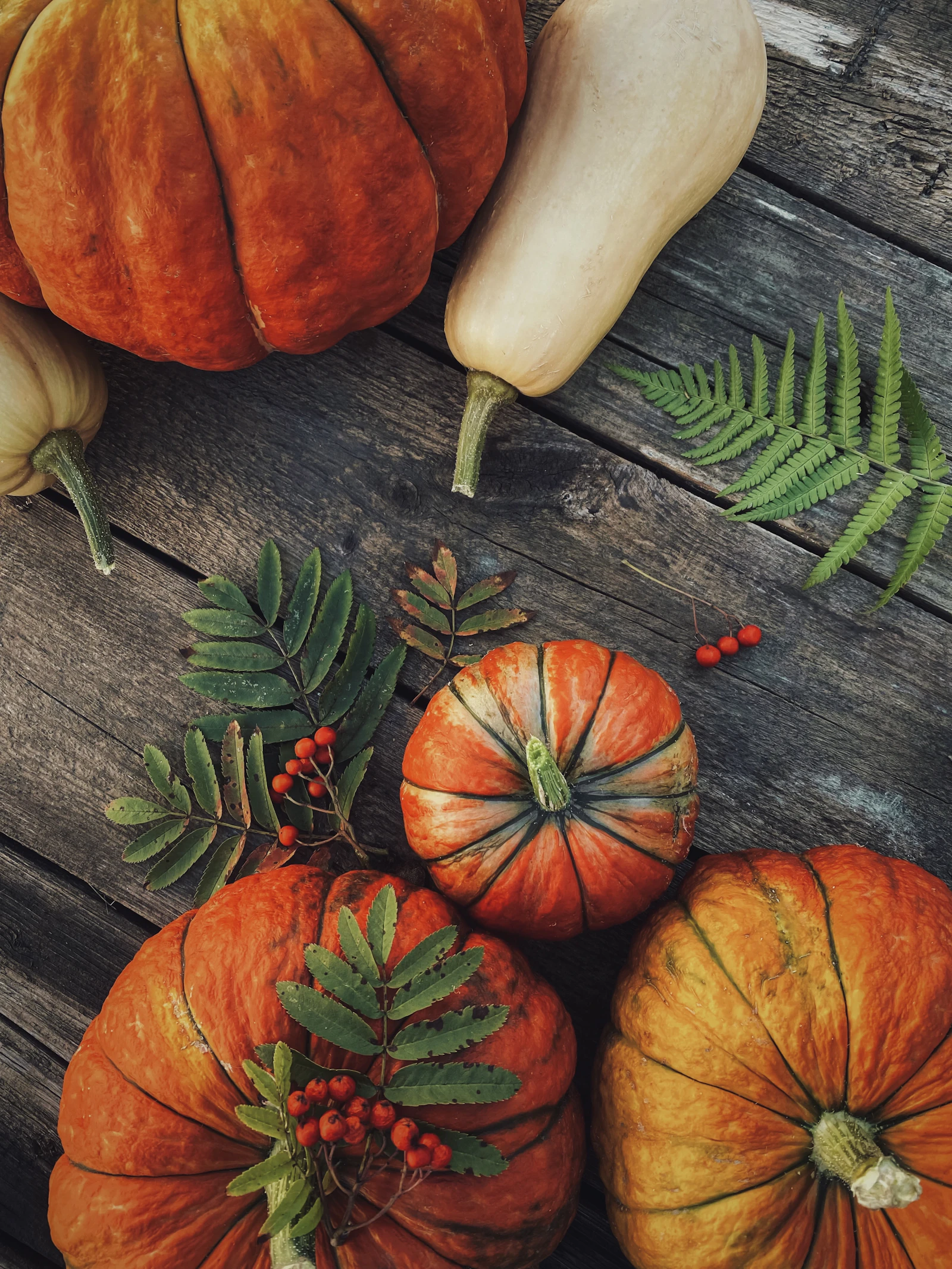 Pumpkins and seasonal autumn produce on a rustic wooden table