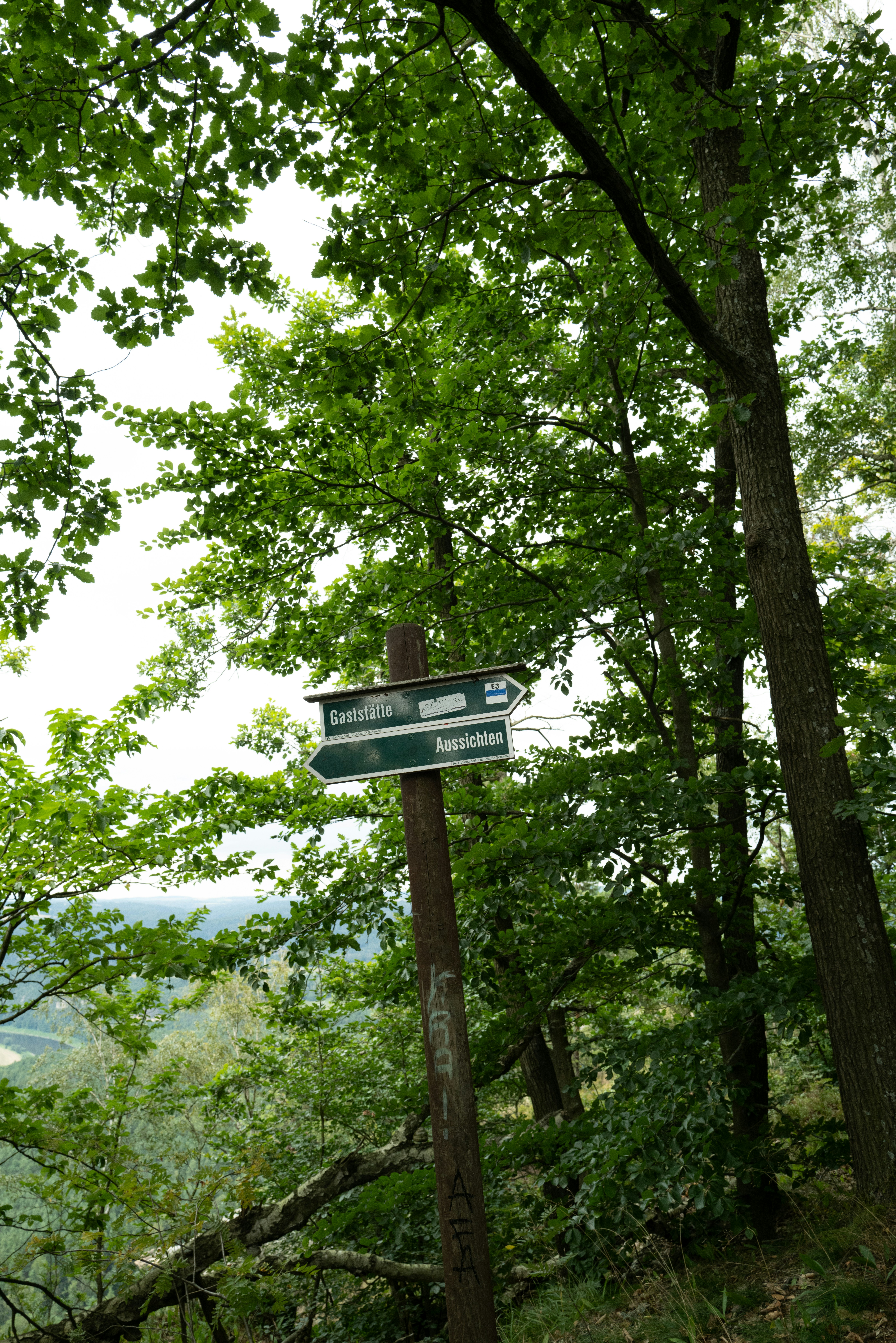 Photo by dominikferl