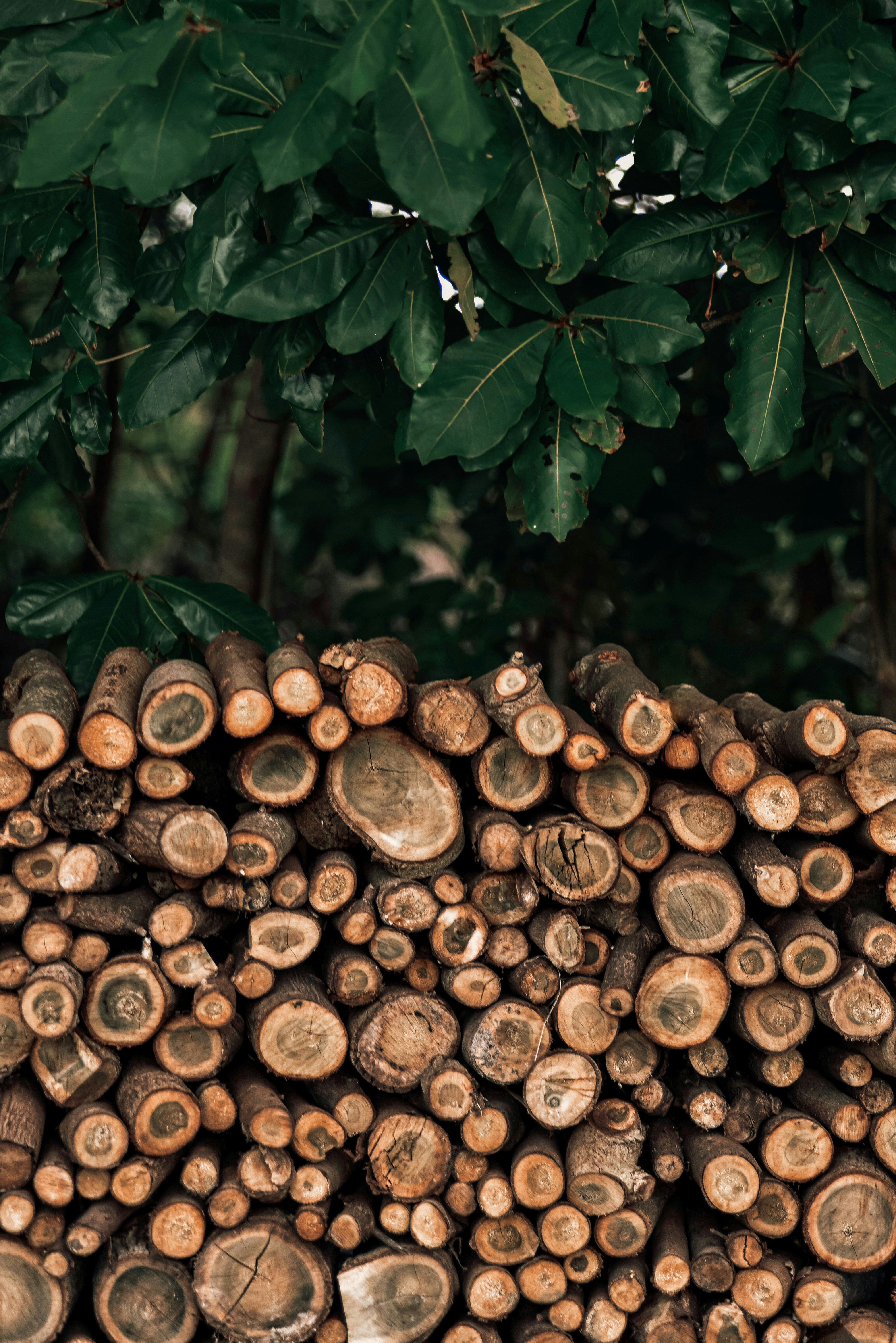 Photo by ziyaadhphotos