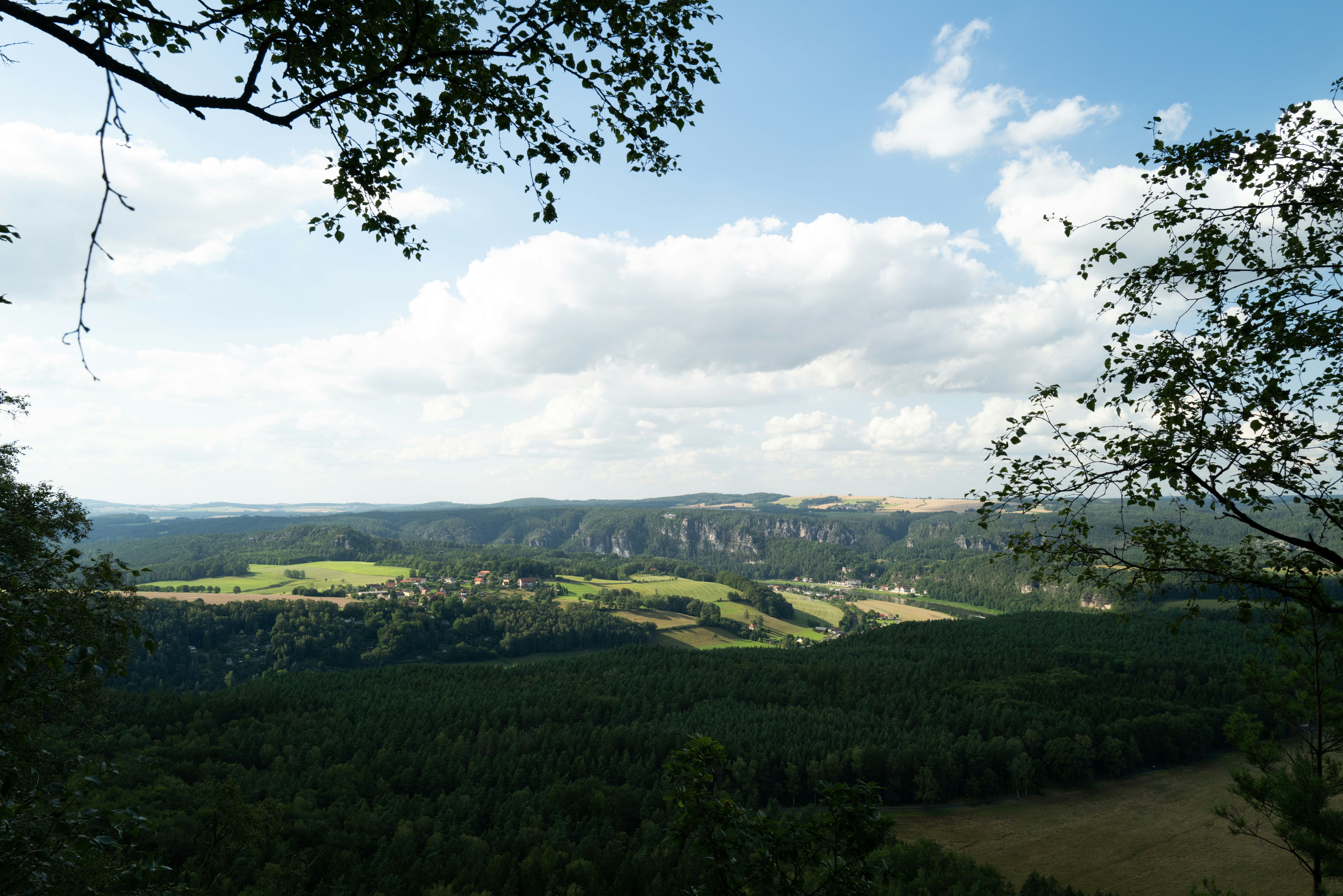 Photo by dominikferl