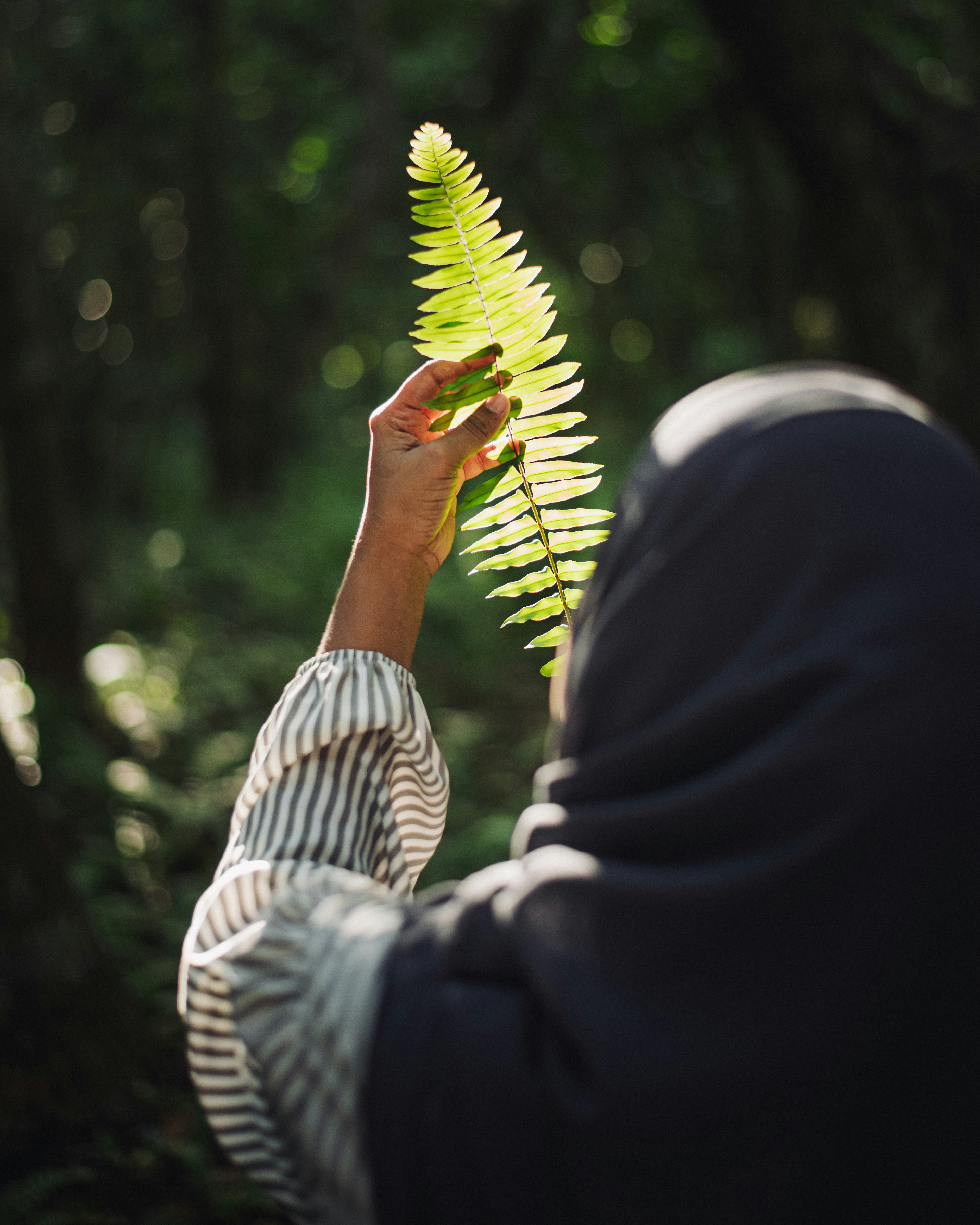 Photo by ziyaadhphotos