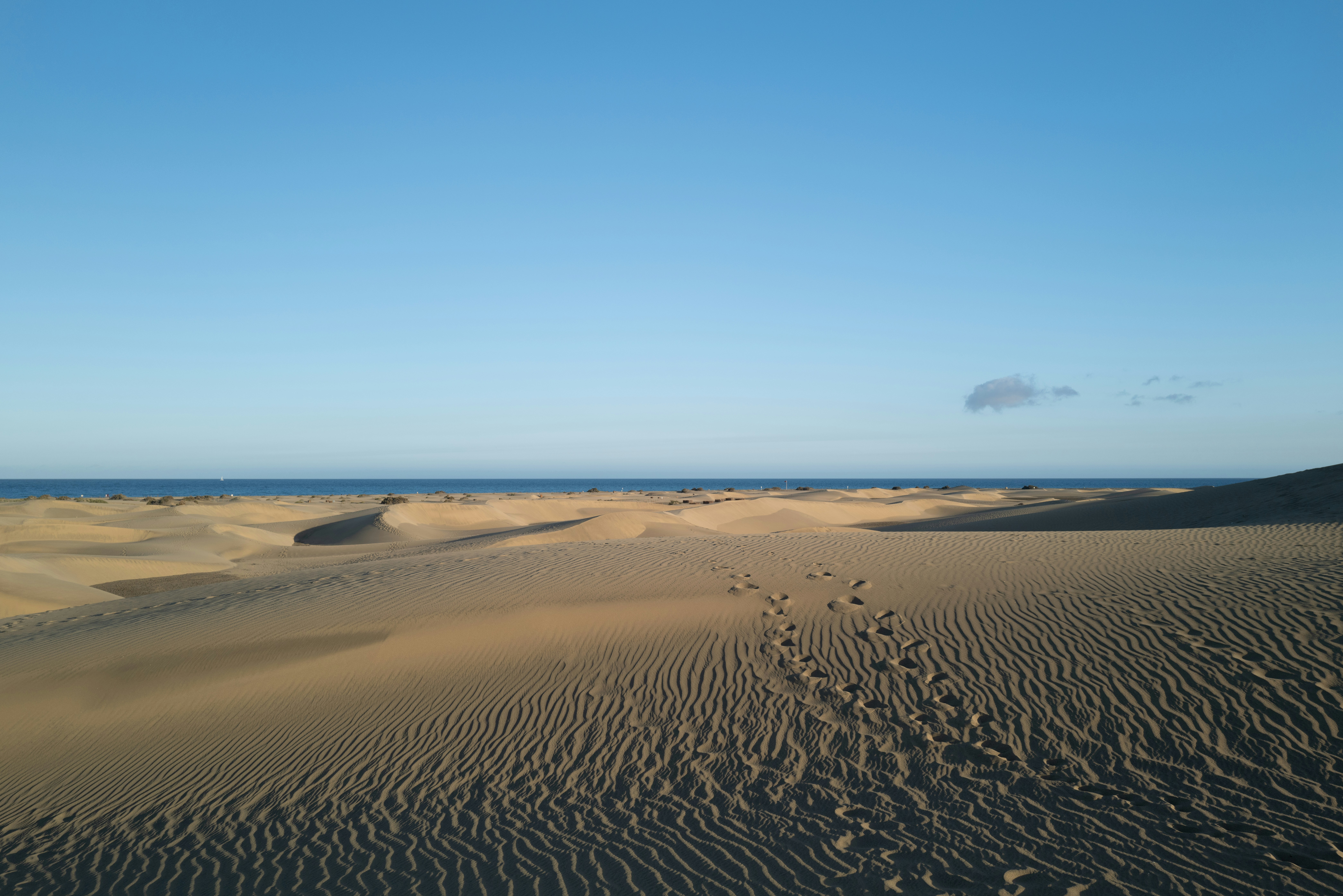 Photo by dominikferl