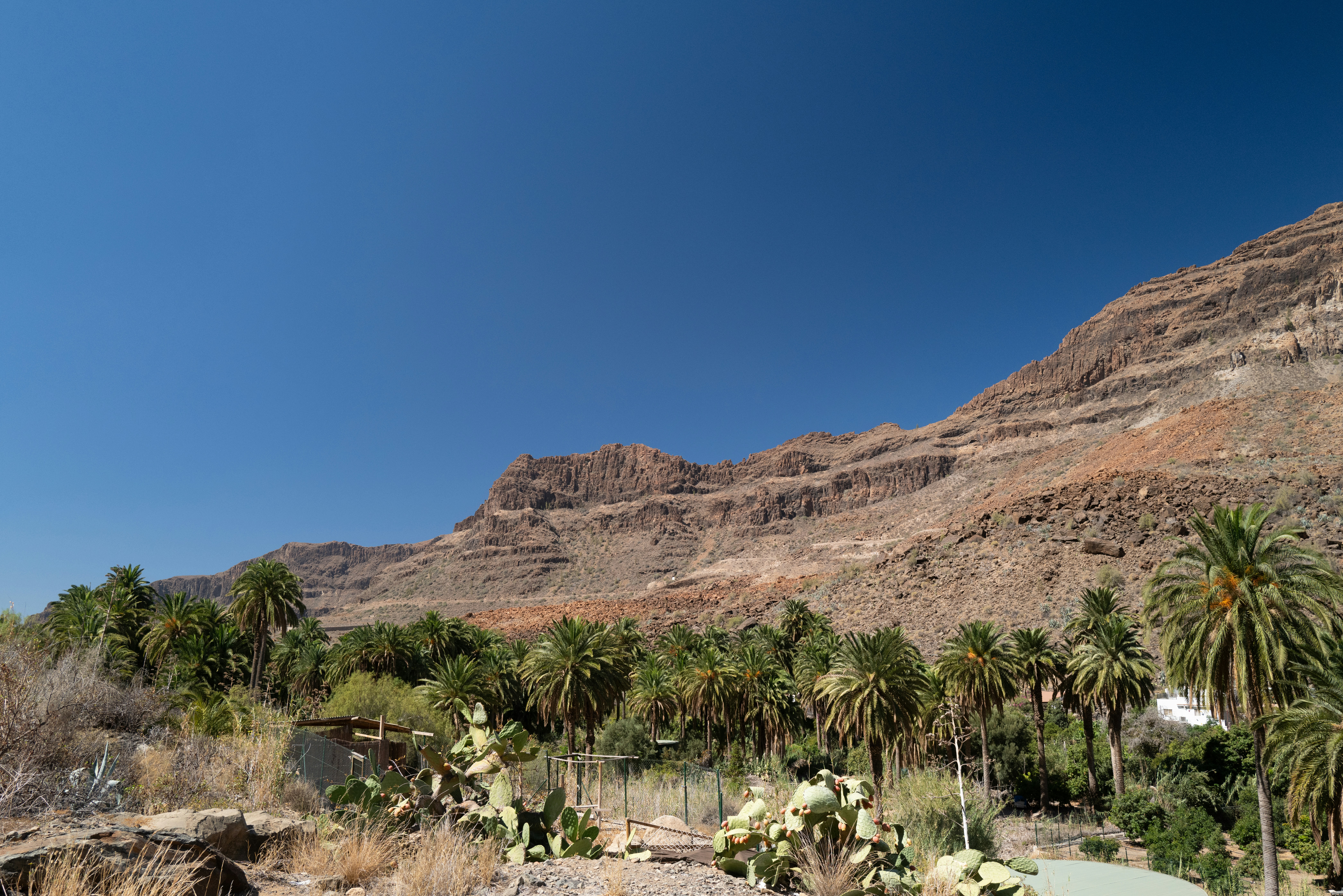 Photo by dominikferl