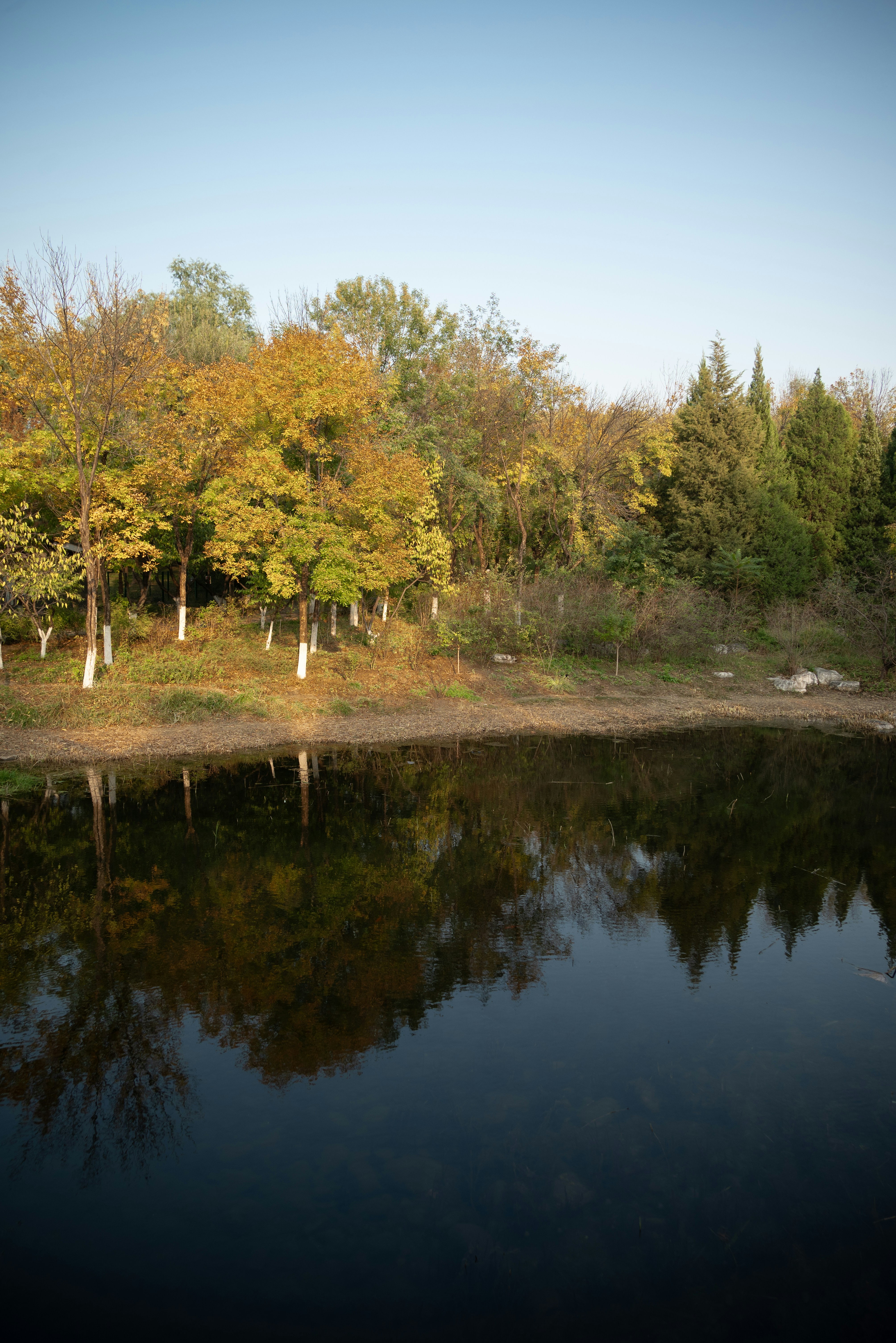 Photo by nikol_royce