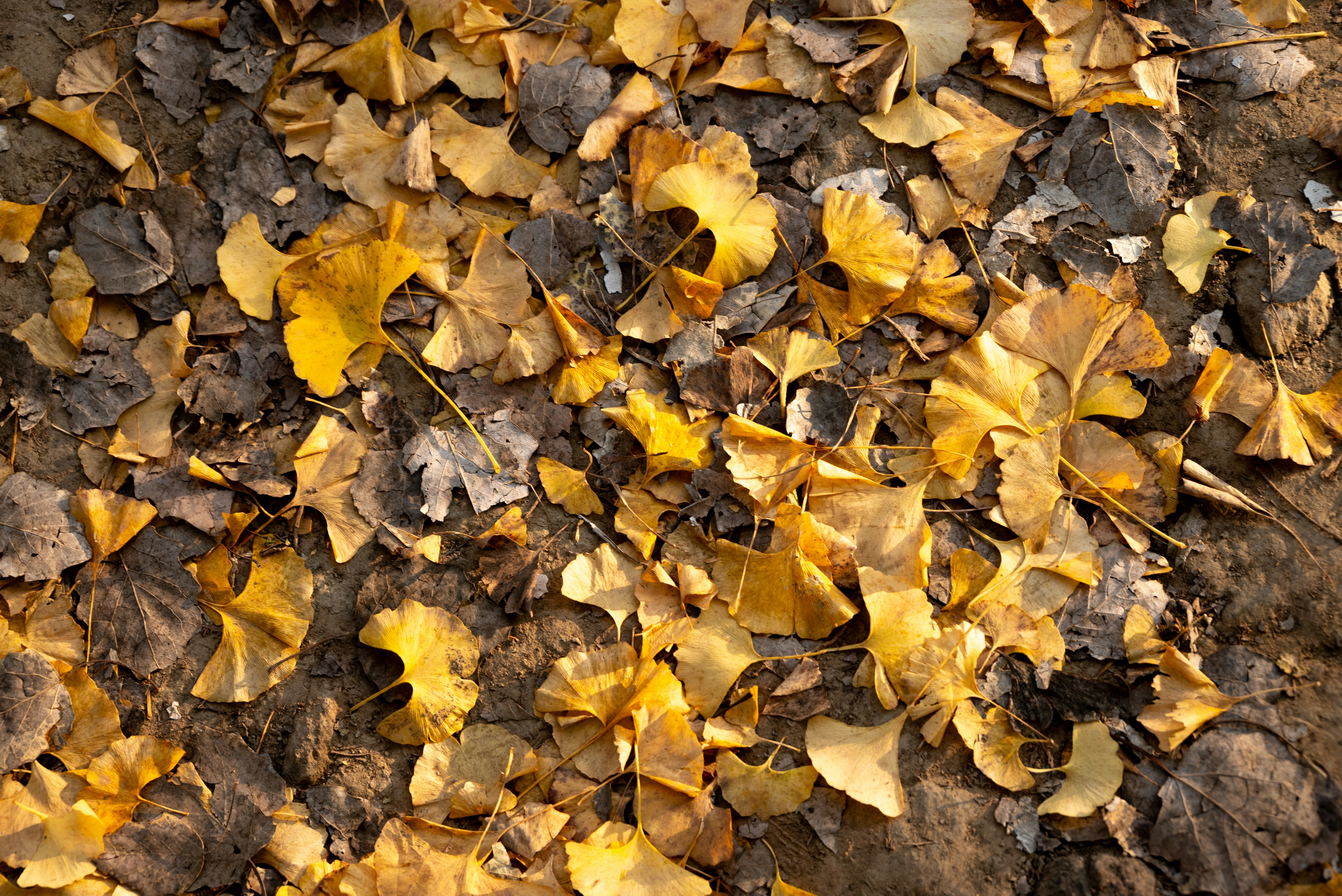 Photo by nikol_royce