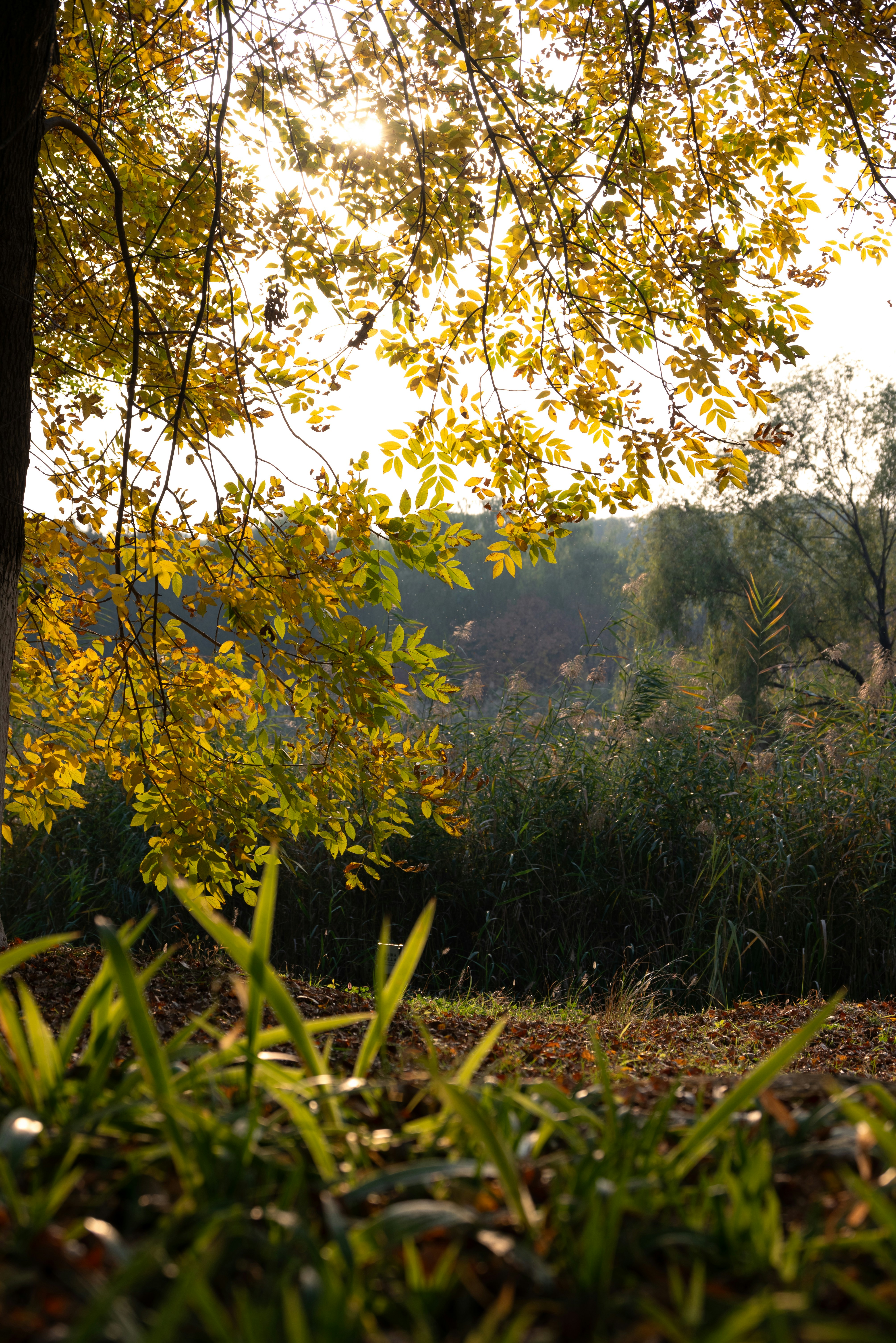 Photo by nikol_royce