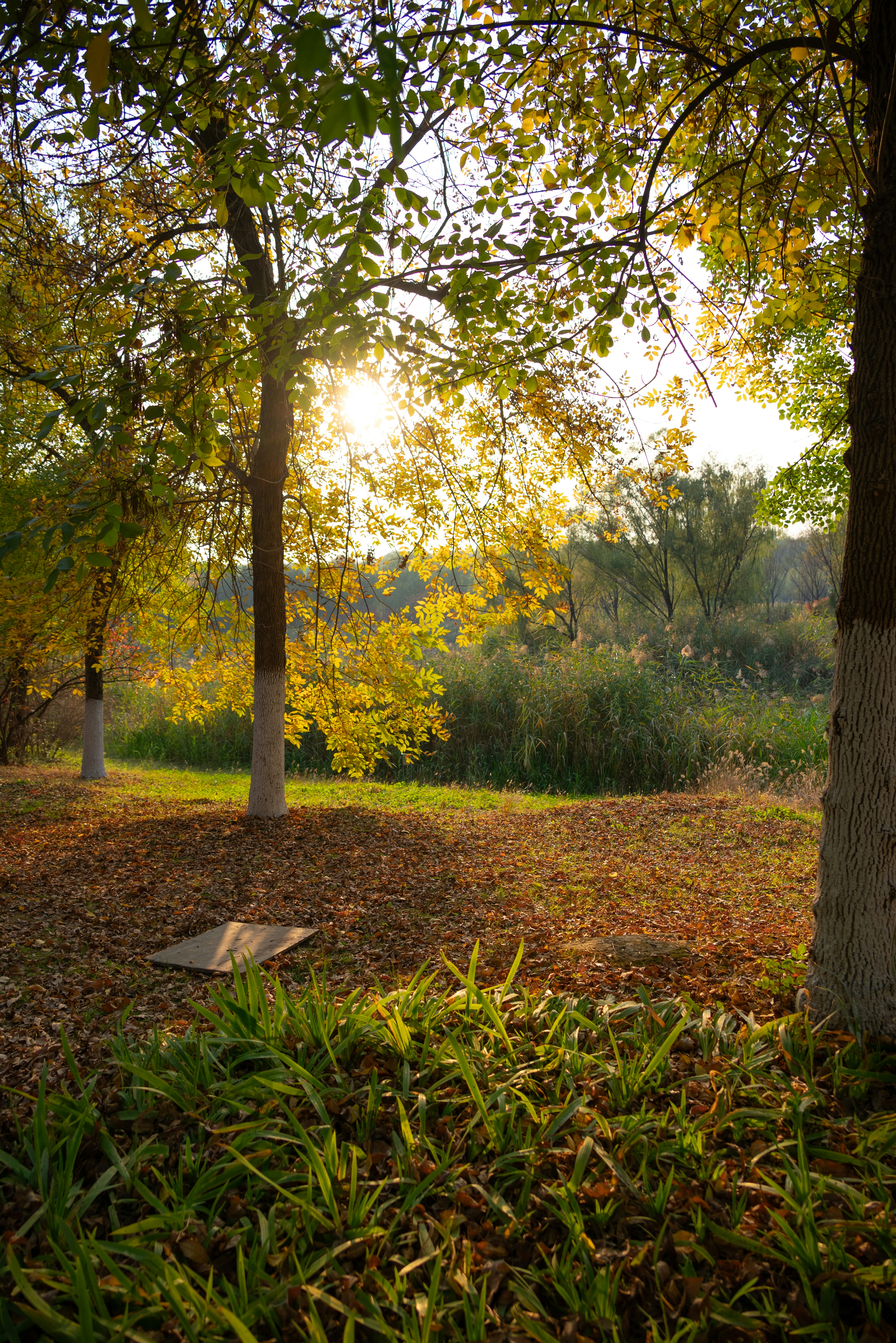 Photo by nikol_royce