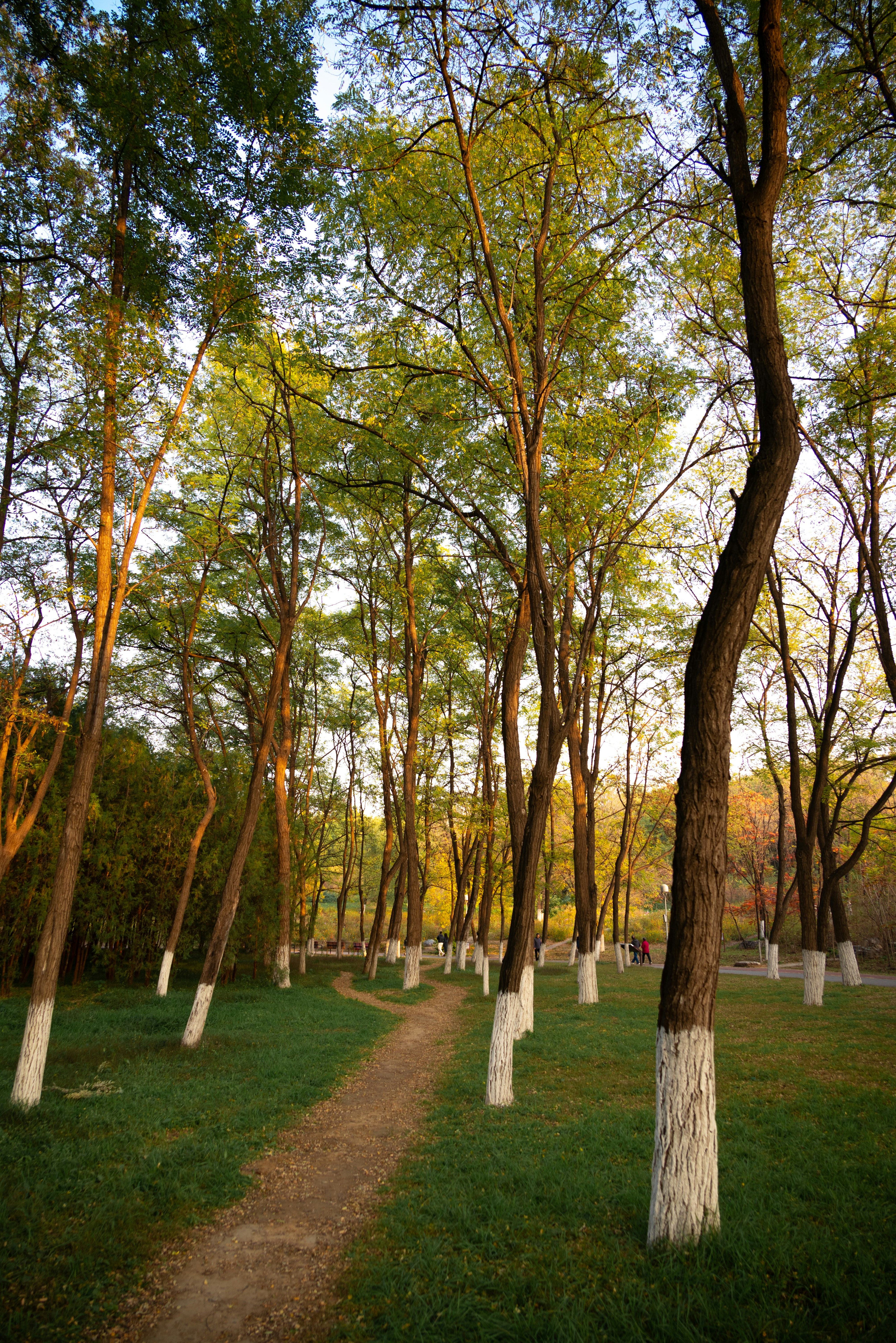 Photo by nikol_royce