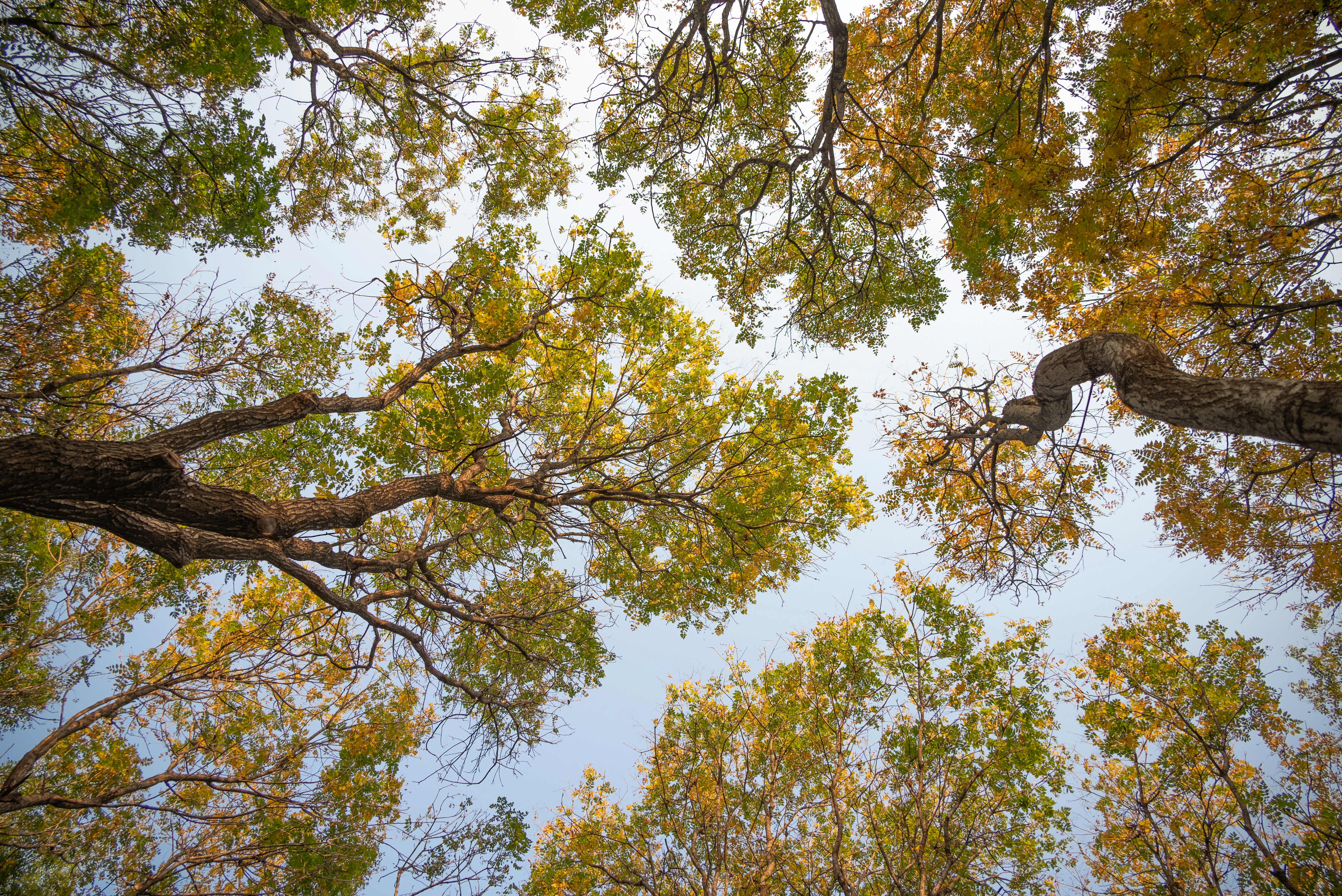 Photo by nikol_royce