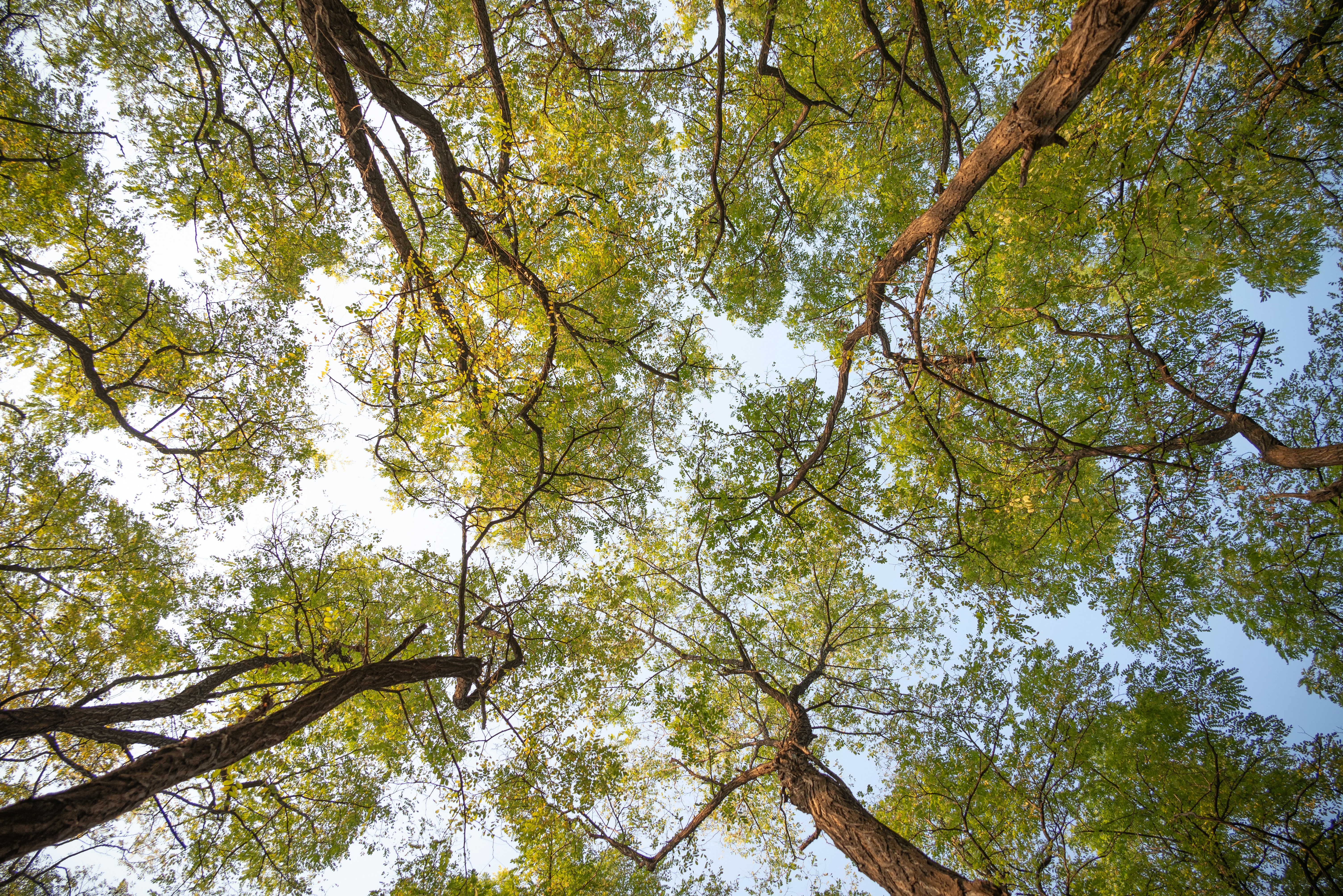 Photo by nikol_royce