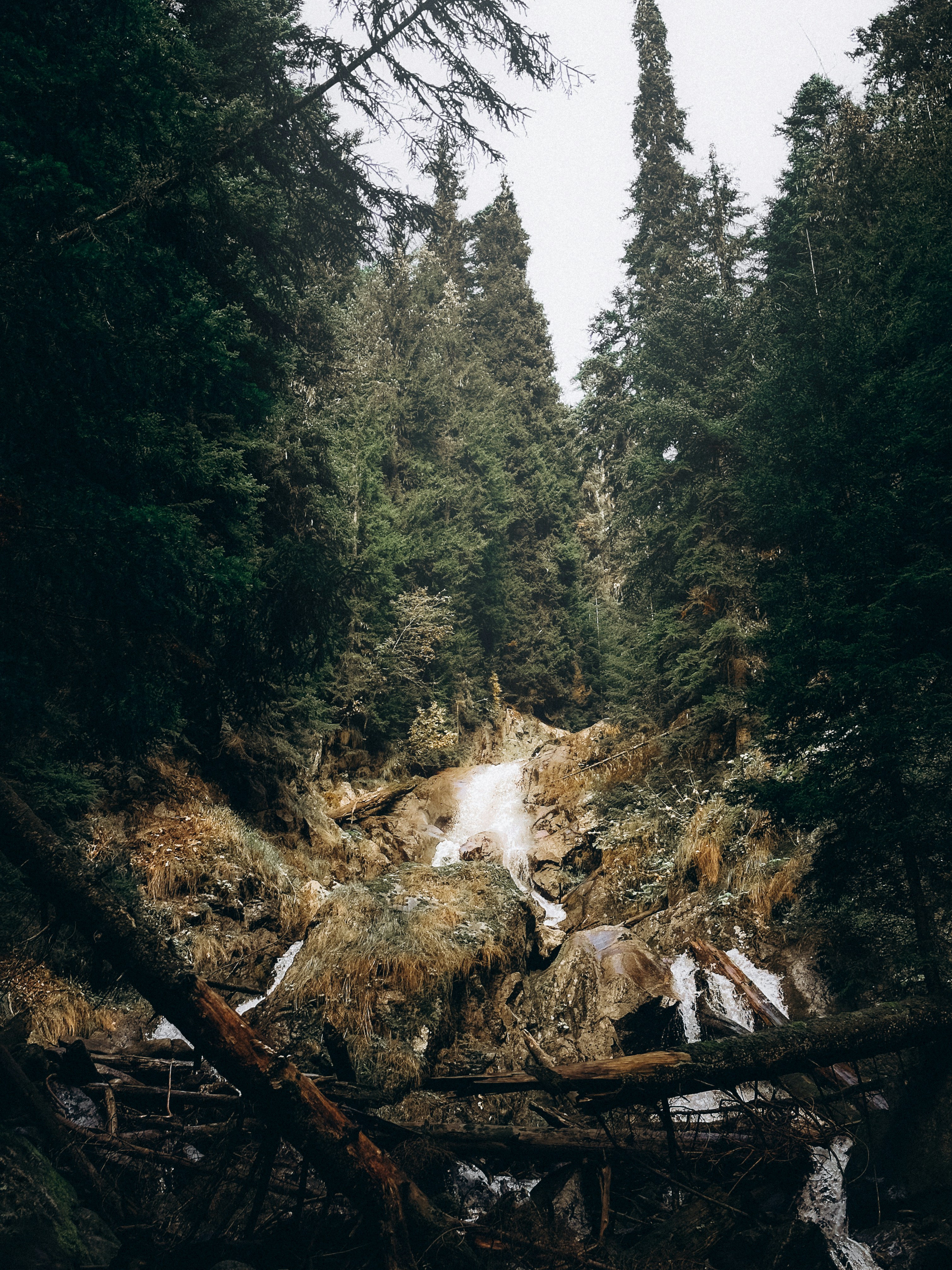 Photo by impermanent