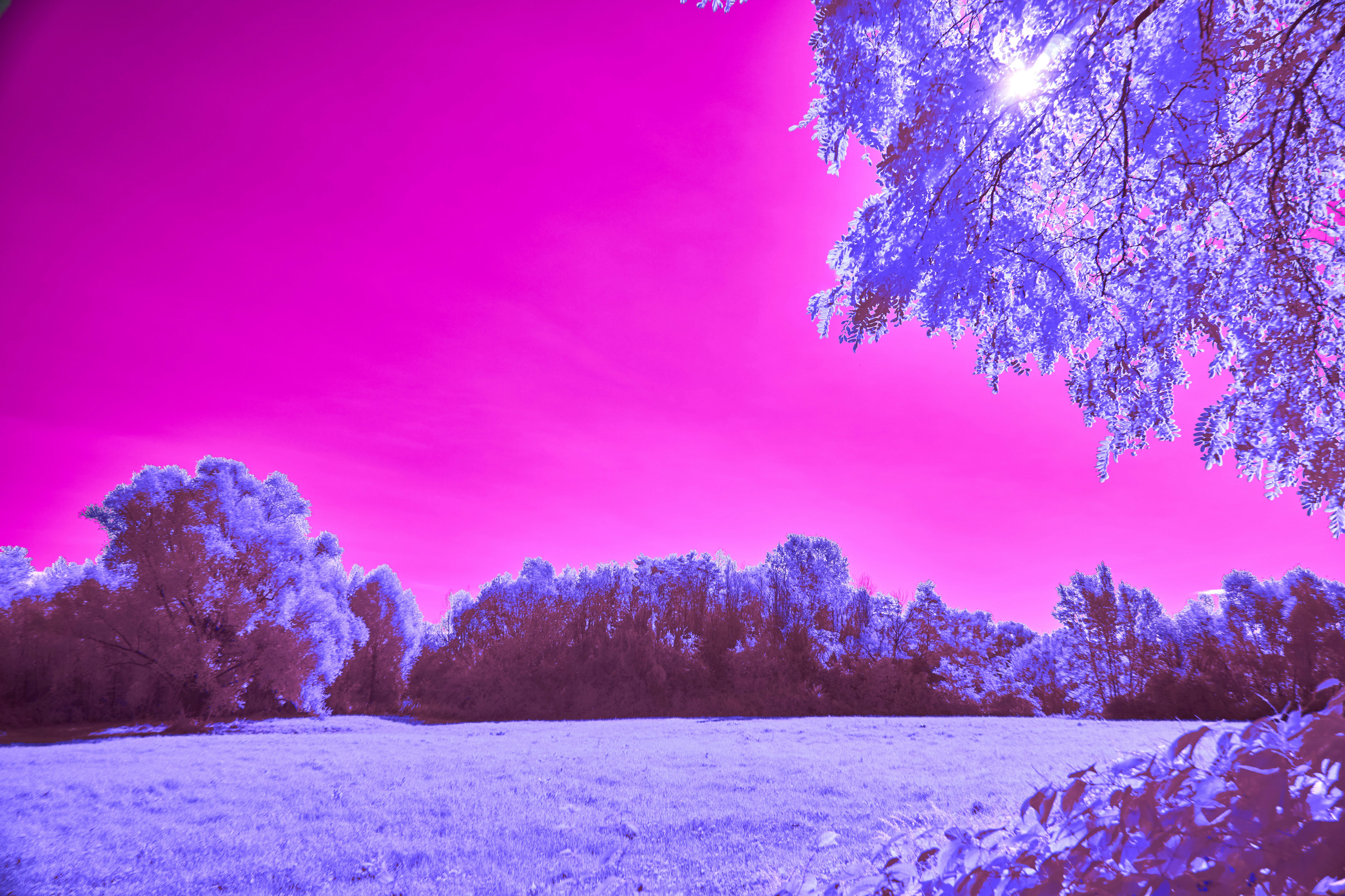 Photo by wolfgang_hasselmann