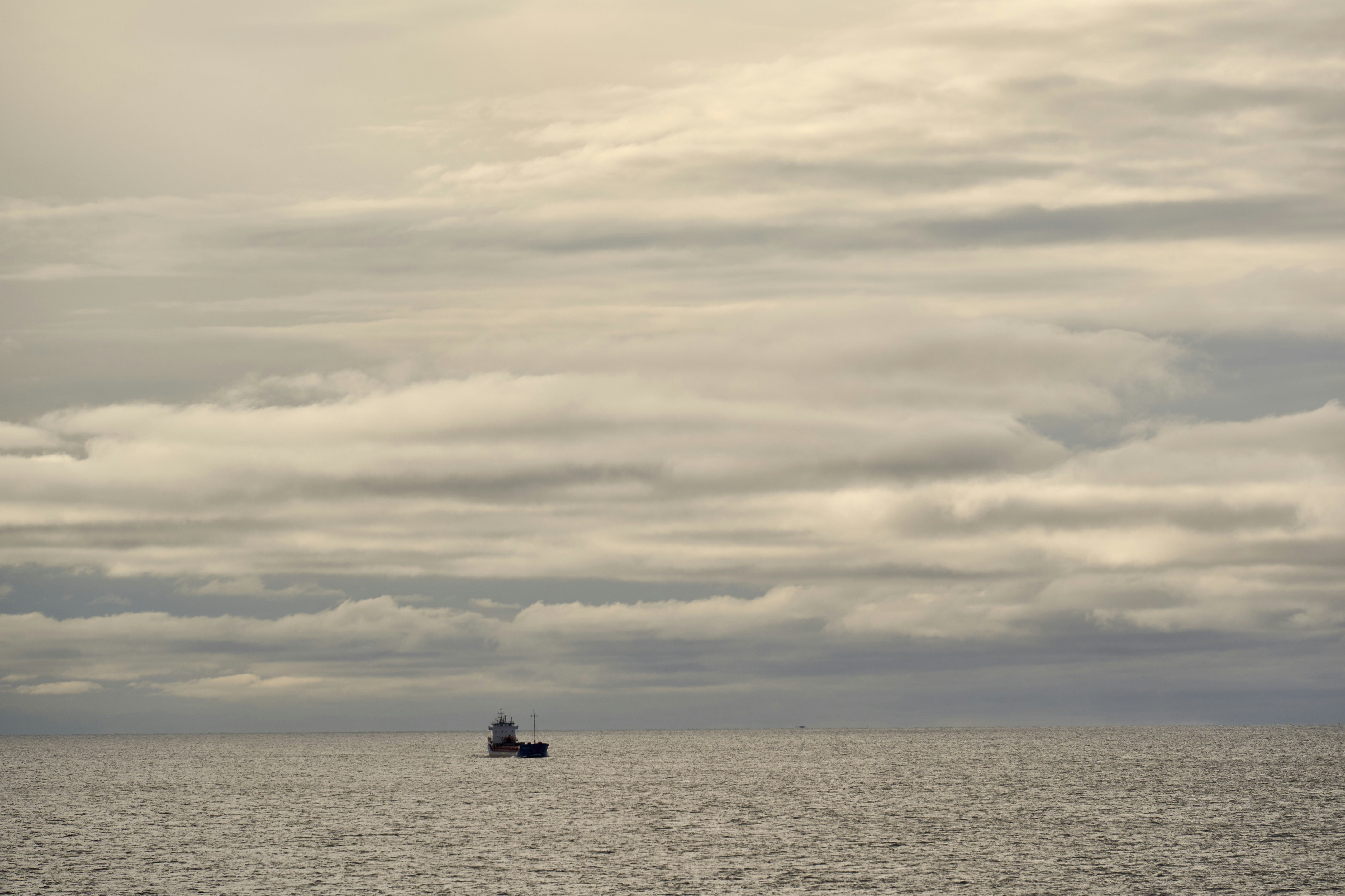 Photo by wolfgang_hasselmann