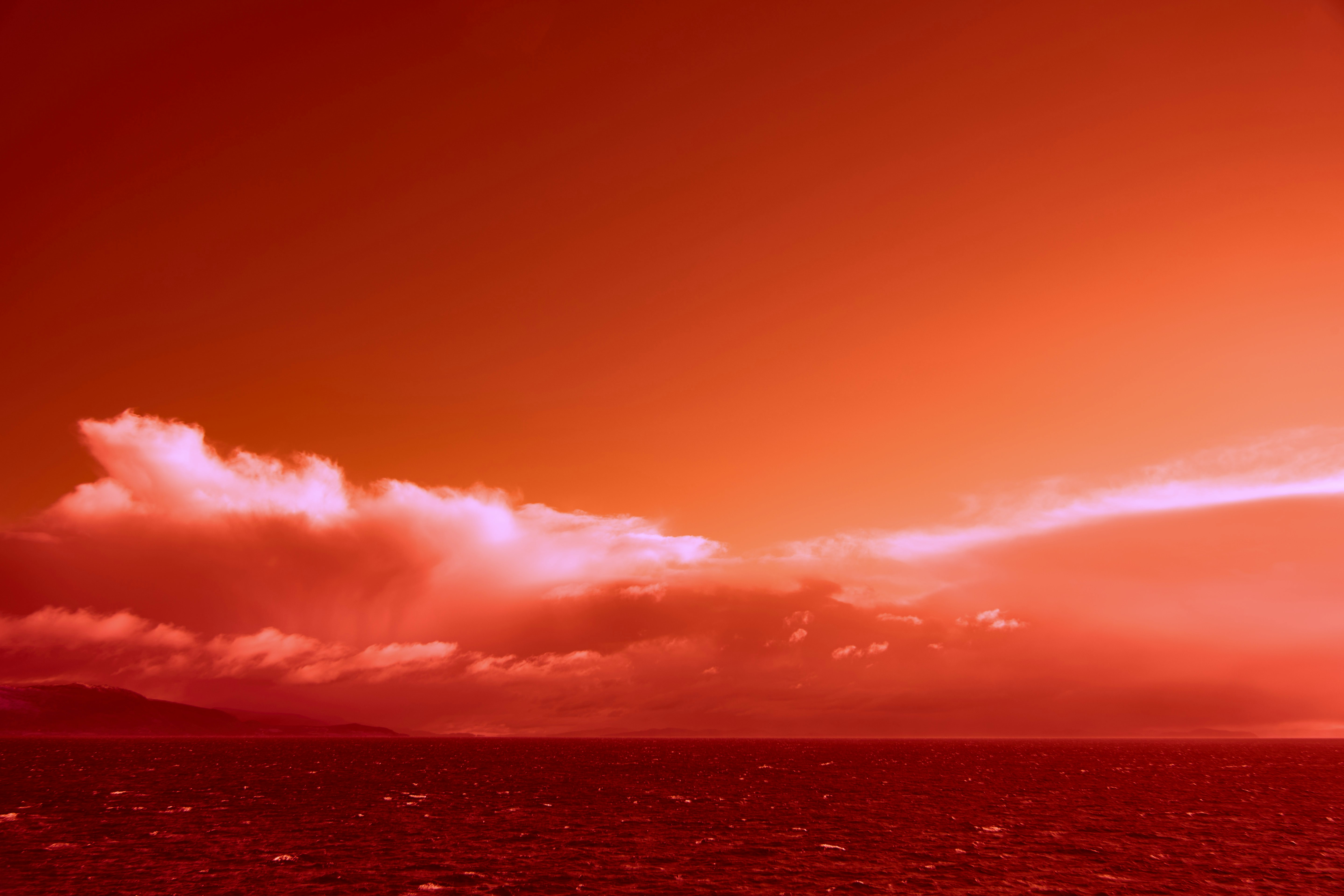 Photo by wolfgang_hasselmann