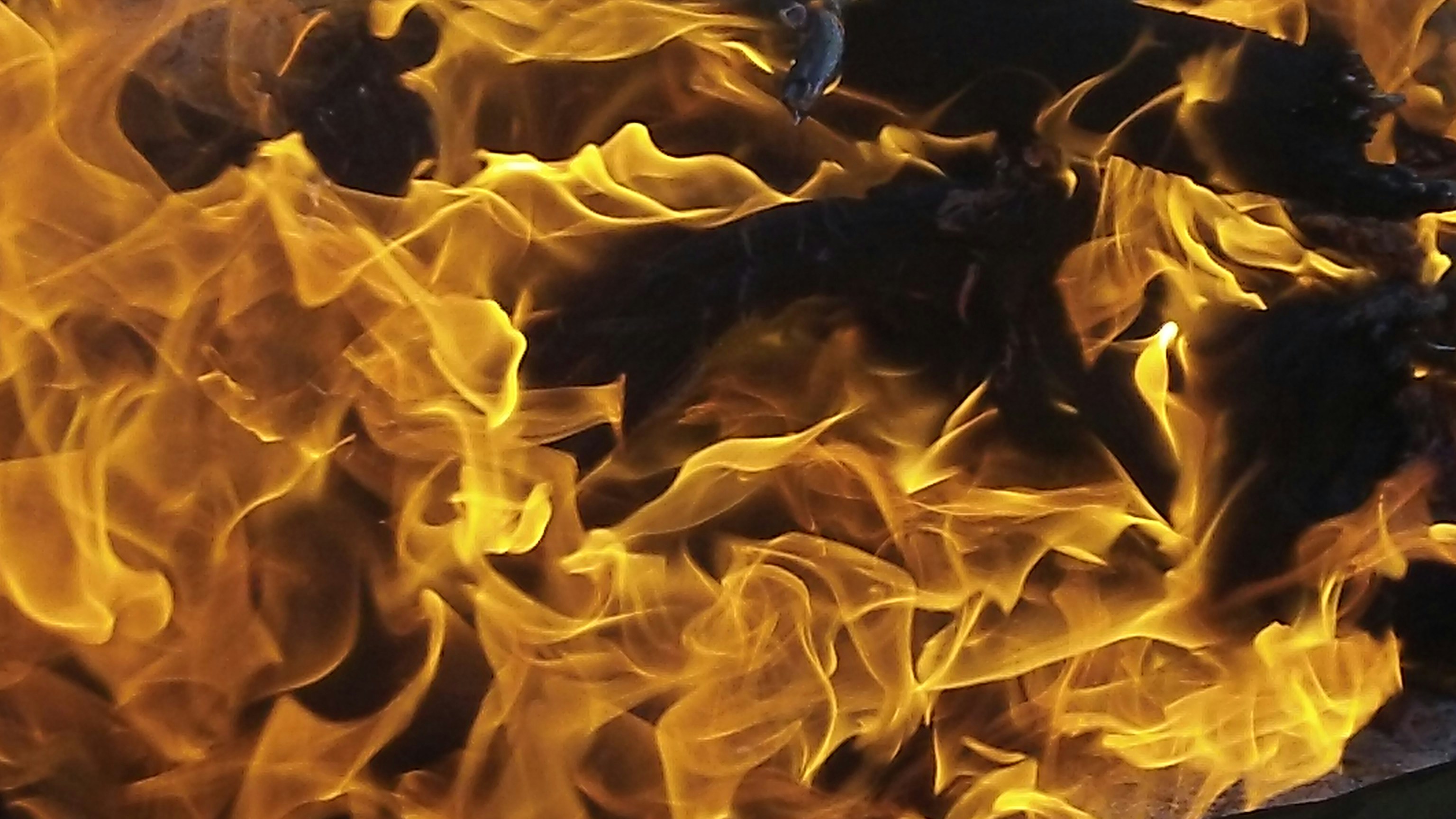 Photo by fmarsphotography32