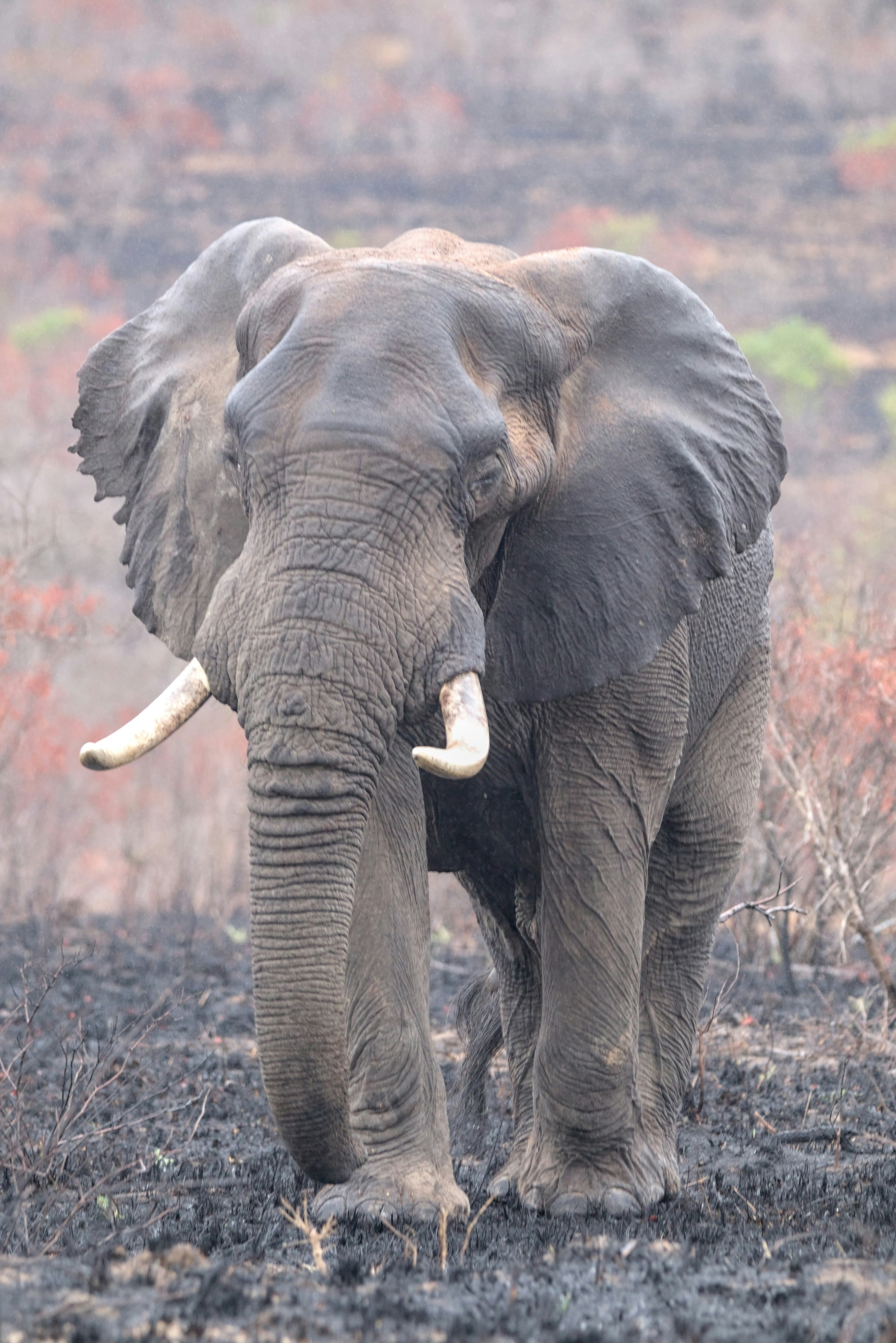 How Biomarkers Can Help MS Treatment Choices