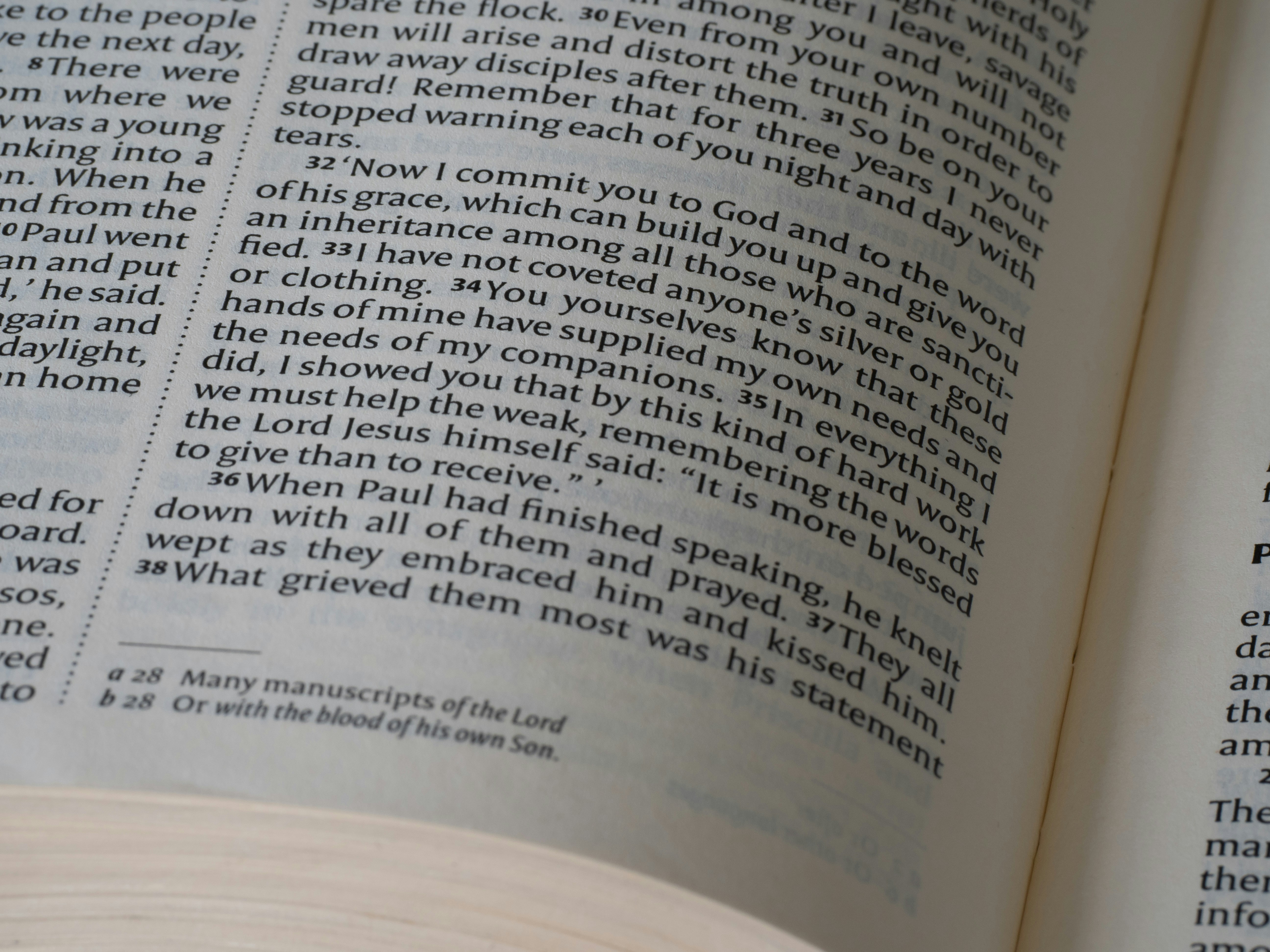 Photo by brett_jordan