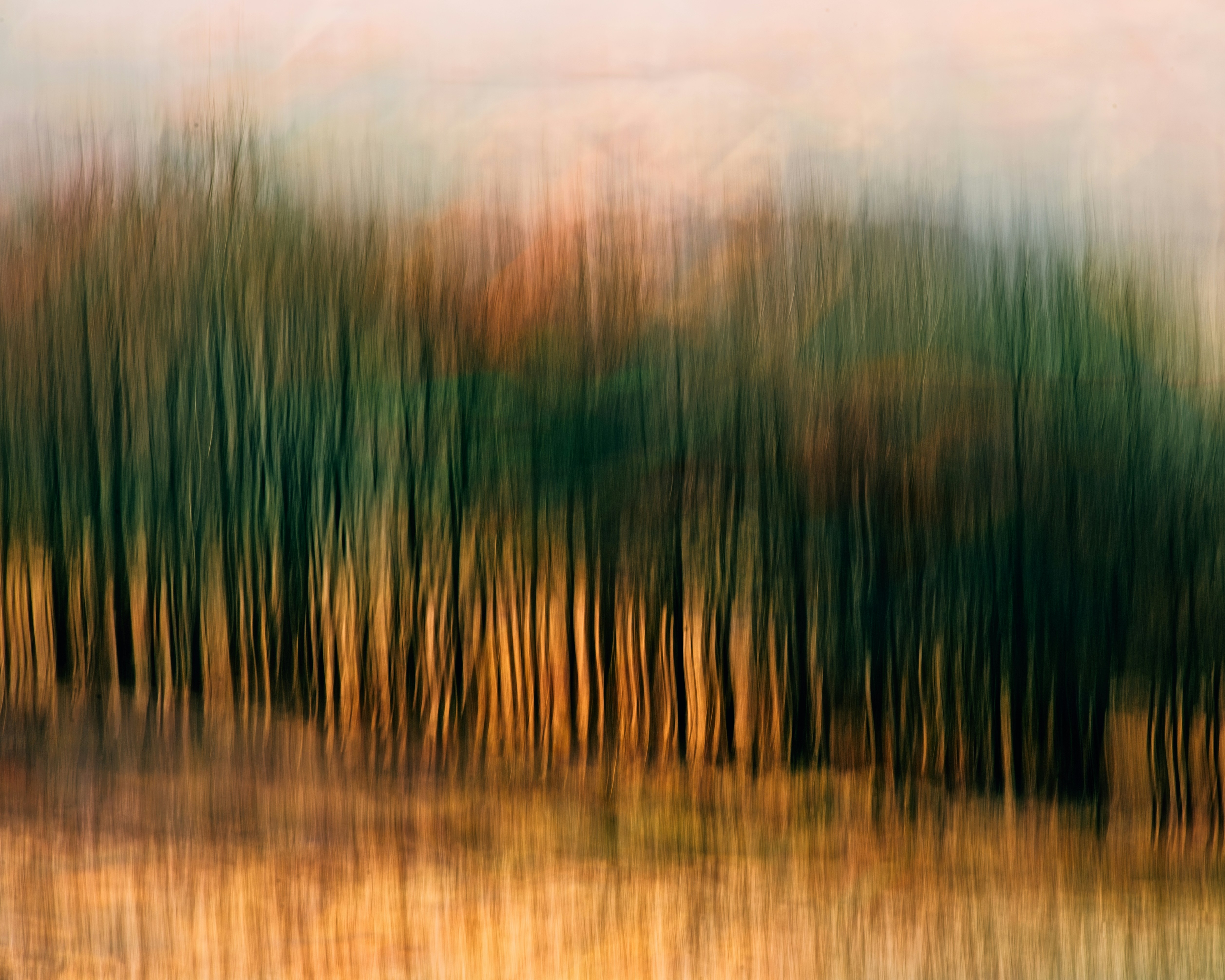 Photo by robert_clark