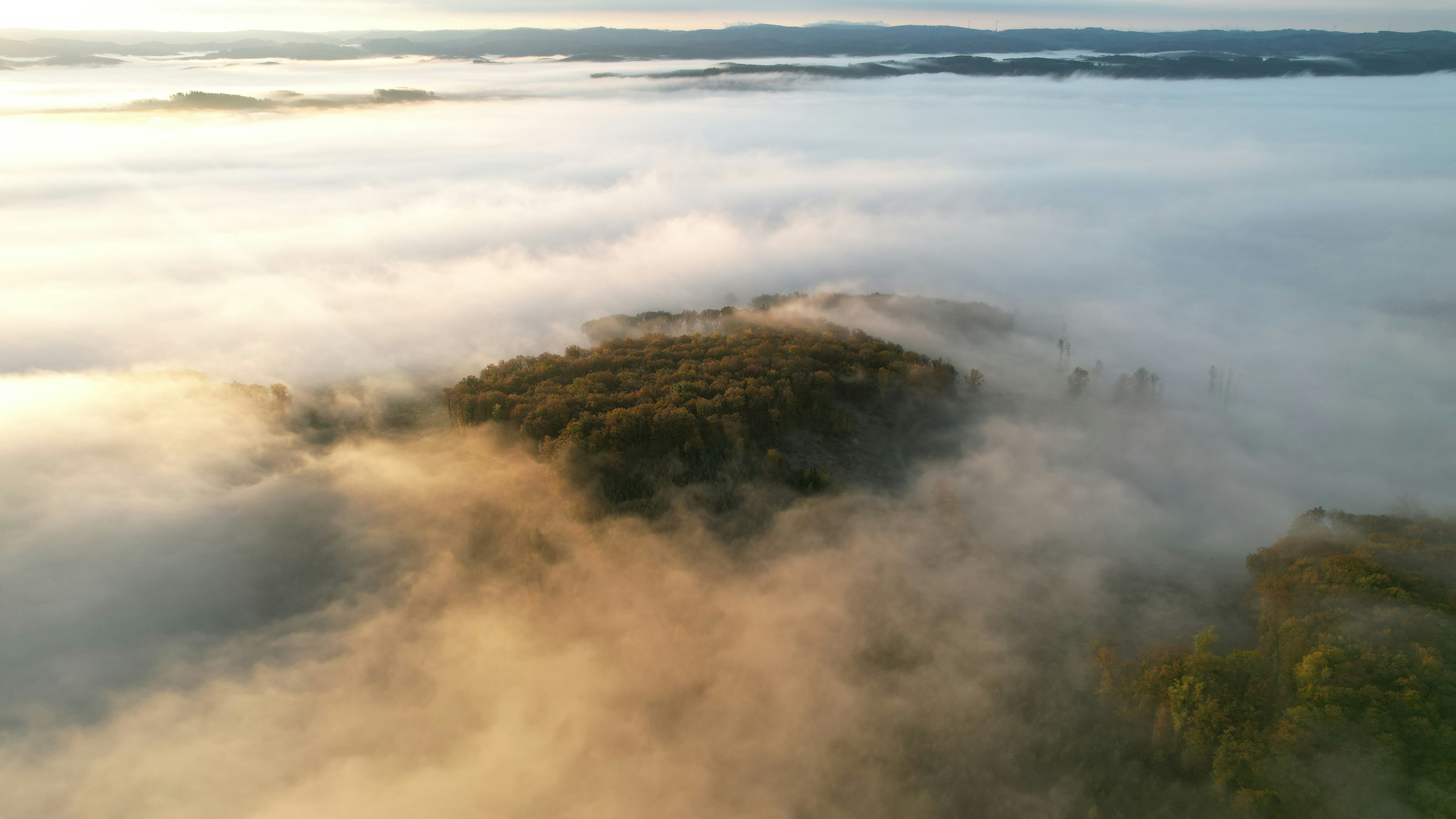 Photo by mortezakhalili