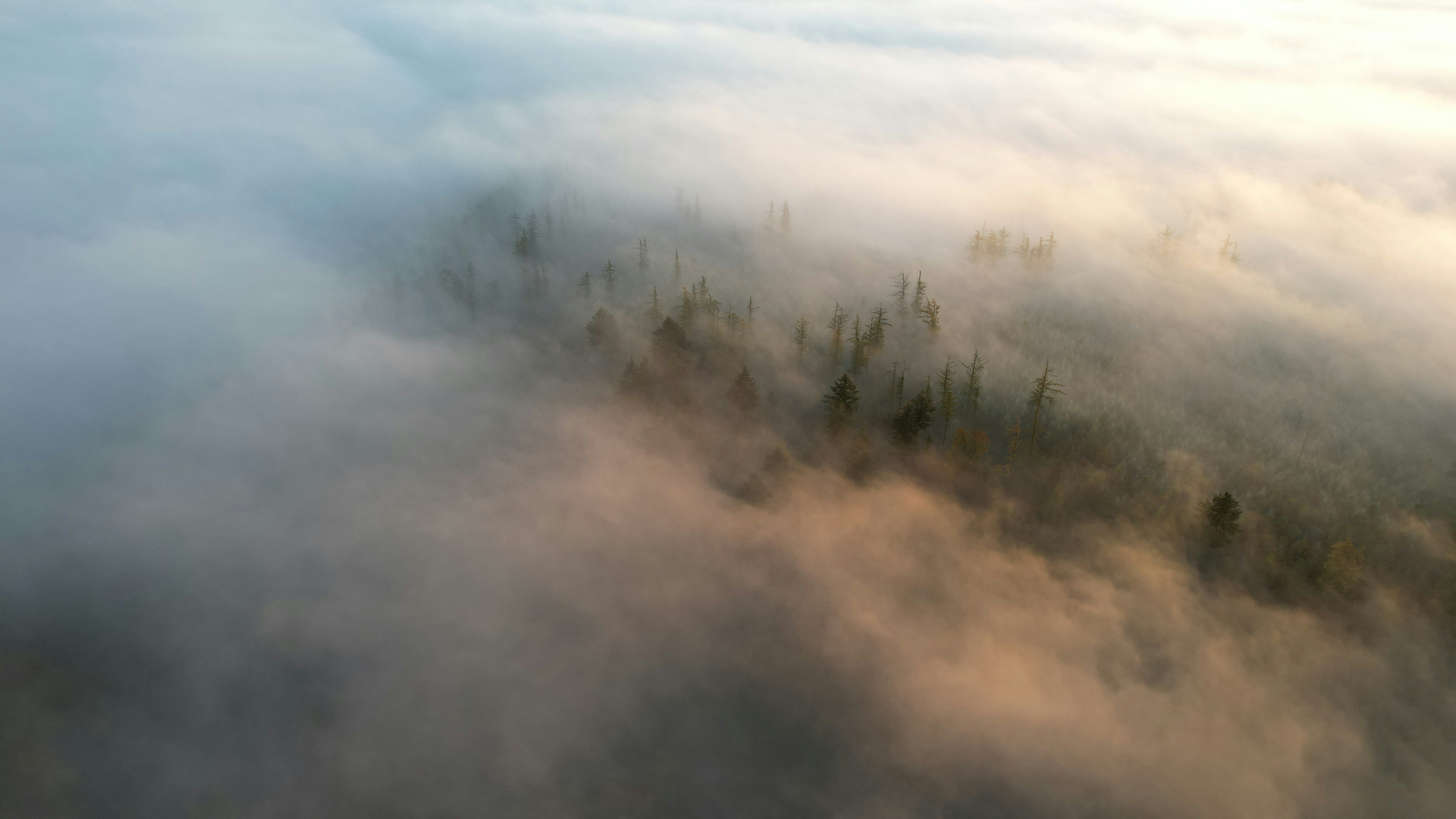 Photo by mortezakhalili