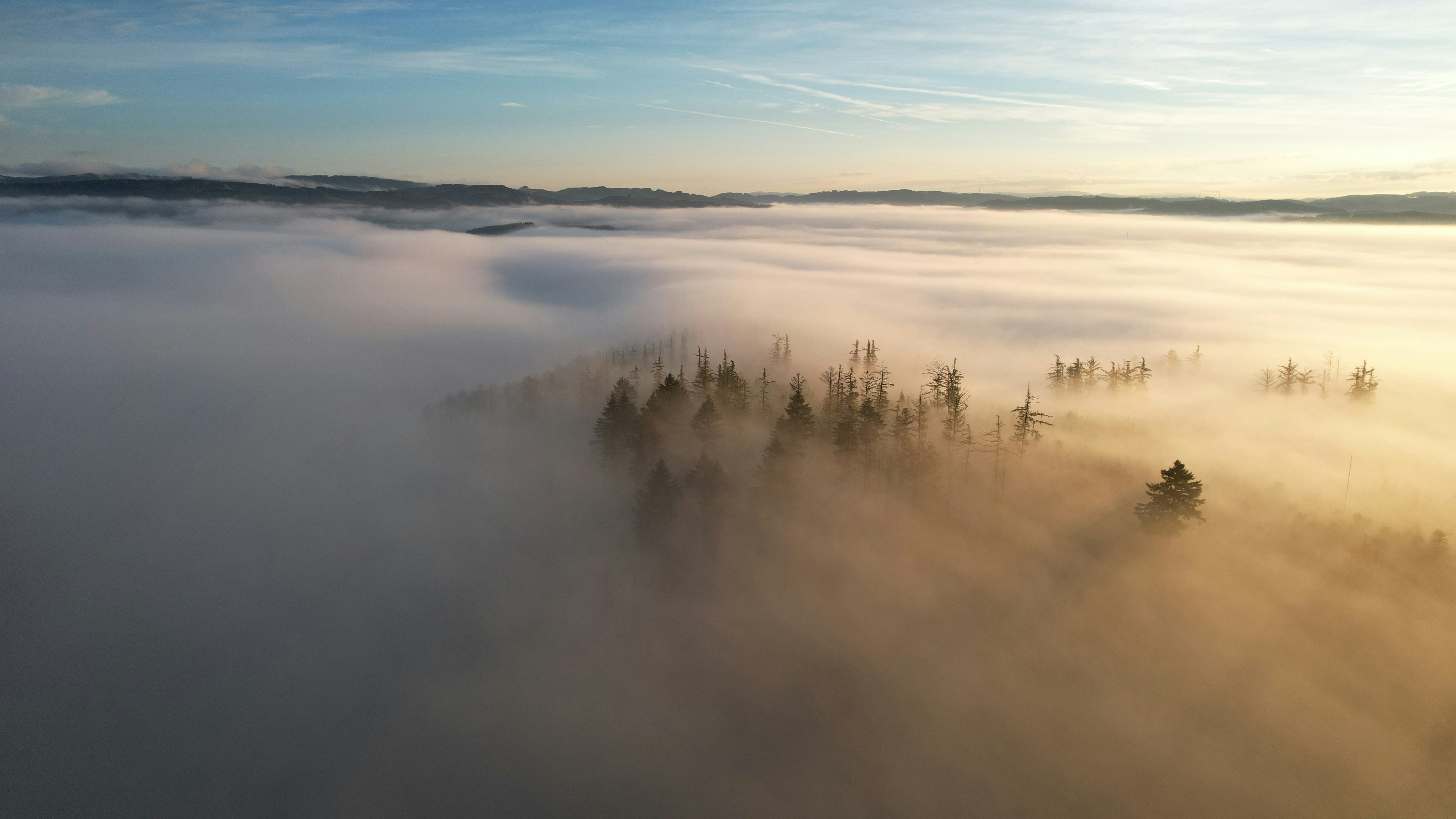 Photo by mortezakhalili