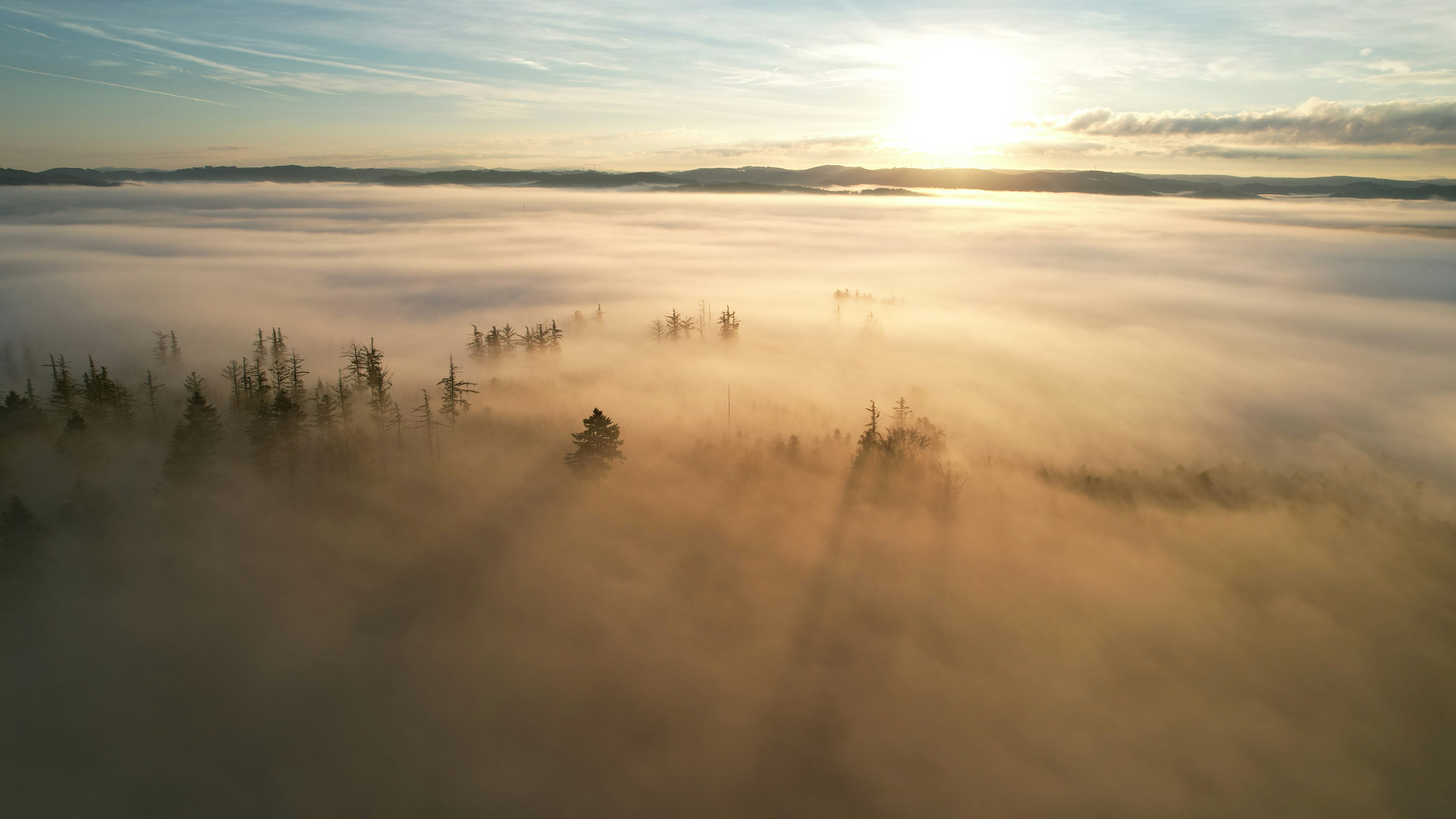 Photo by mortezakhalili