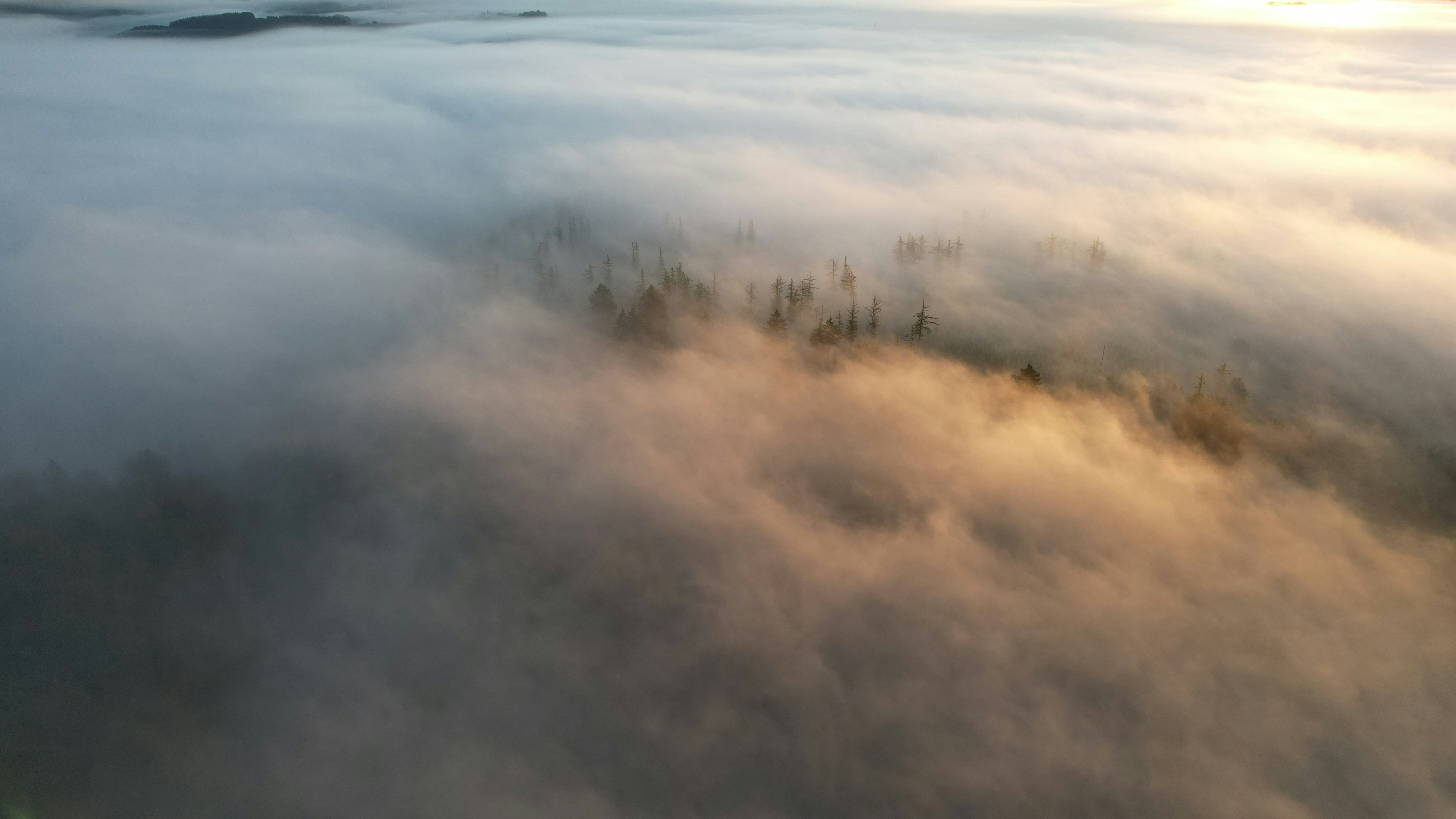 Photo by mortezakhalili