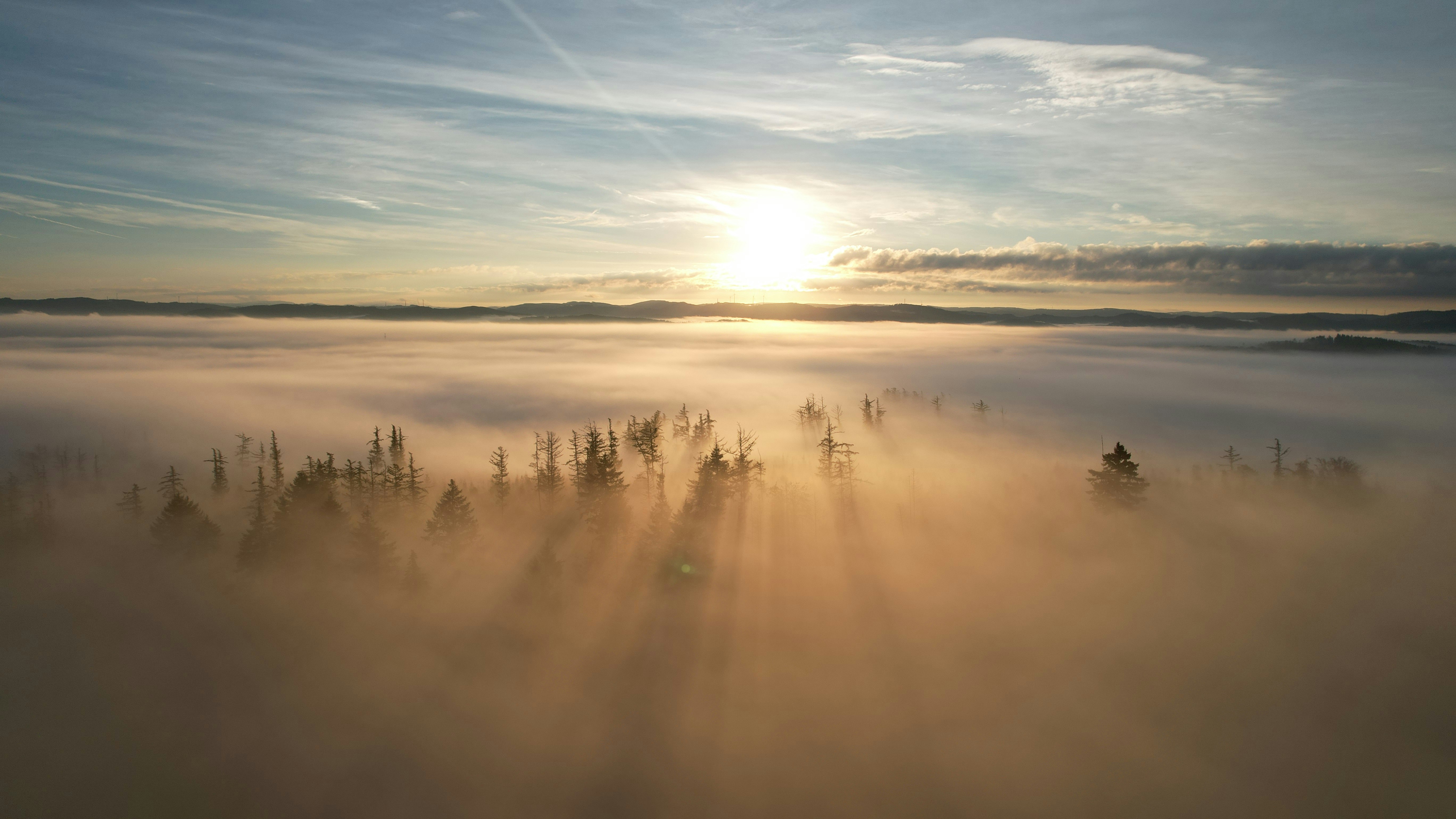 Photo by mortezakhalili