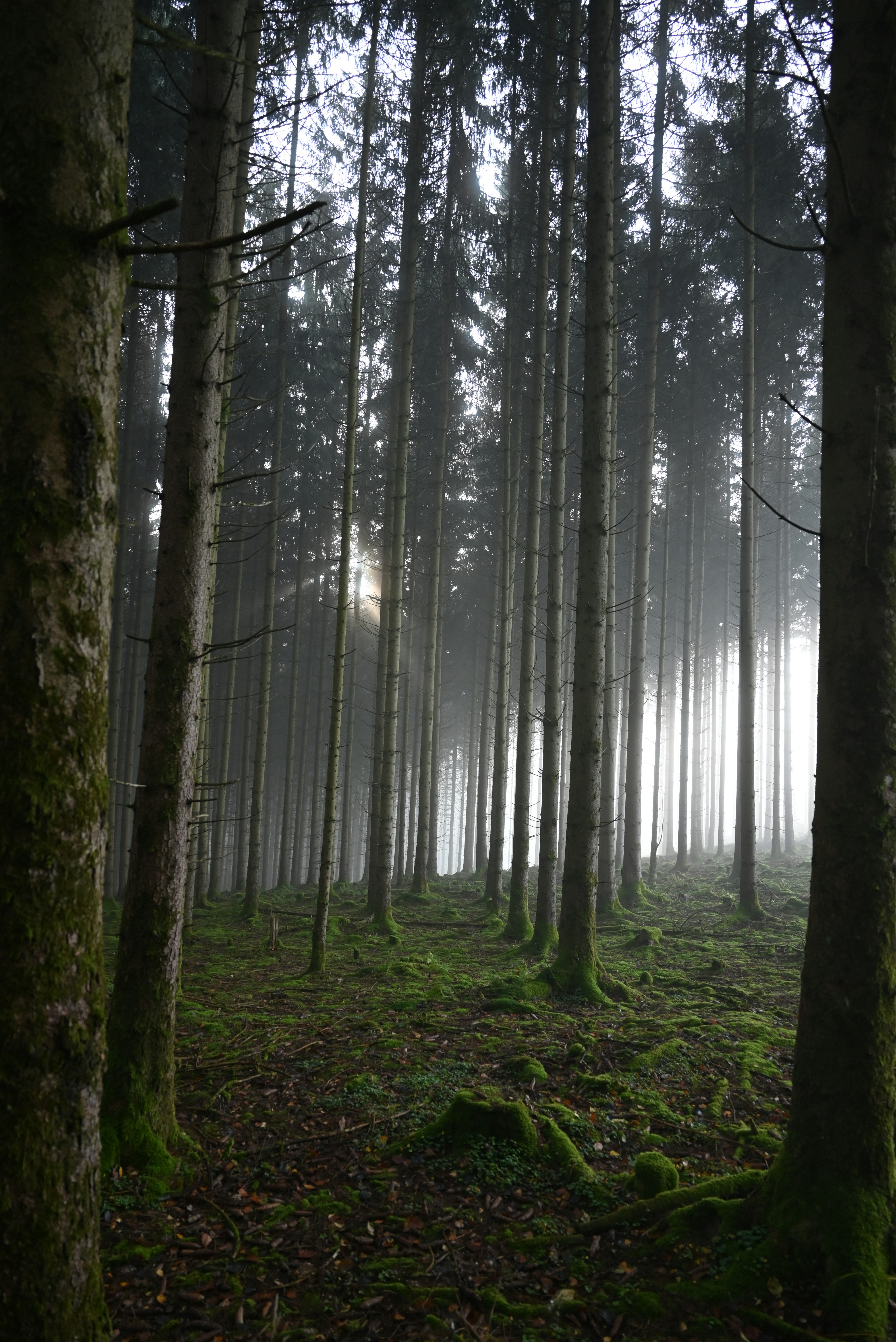 Photo by mortezakhalili