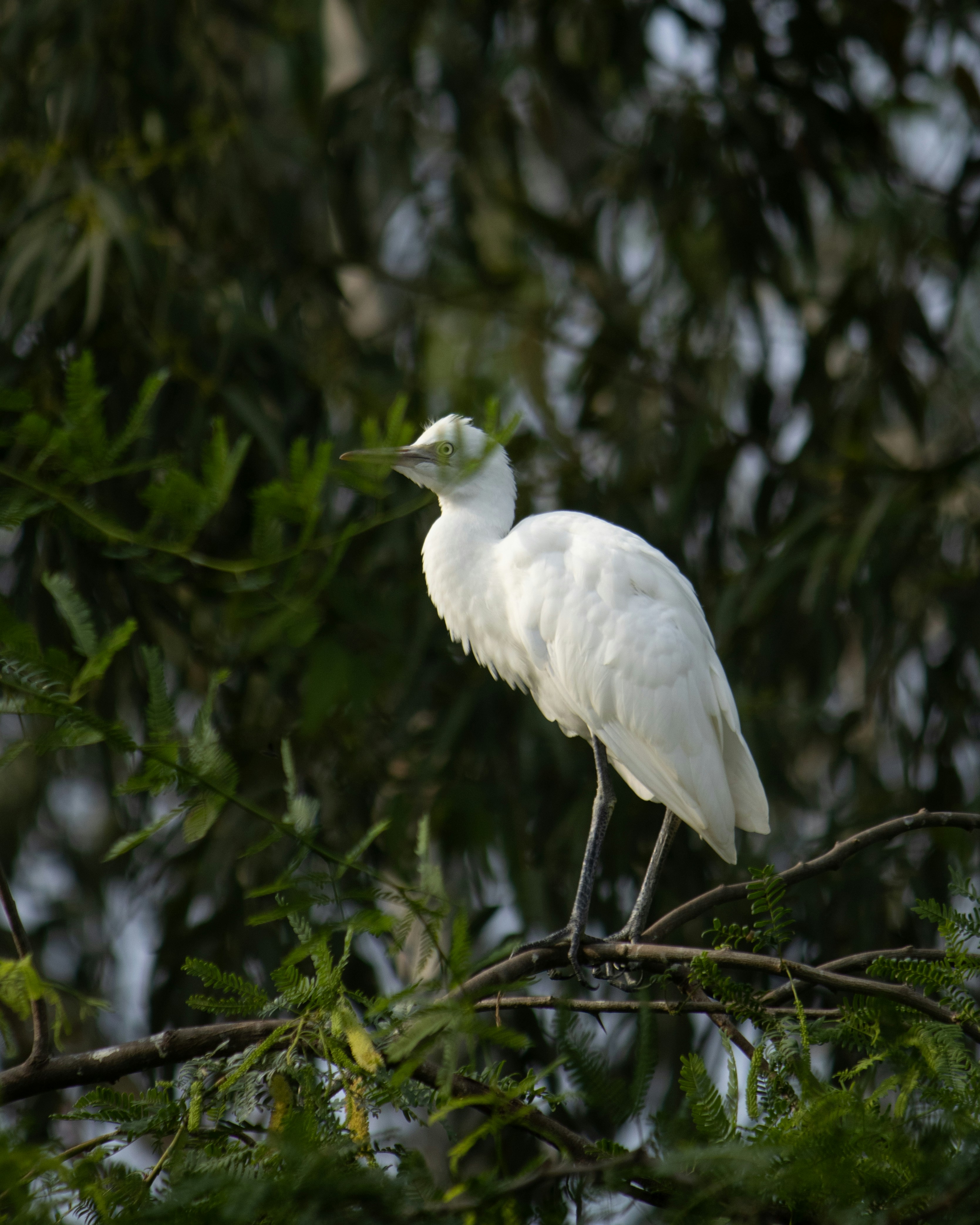 Photo by beingrahuul