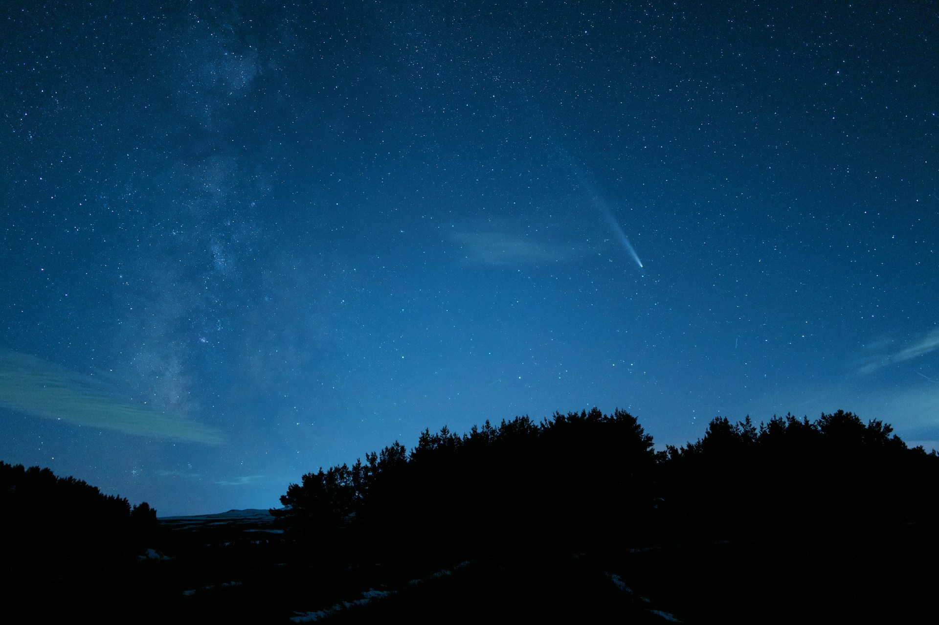 The night sky with stars and the silhouette of trees