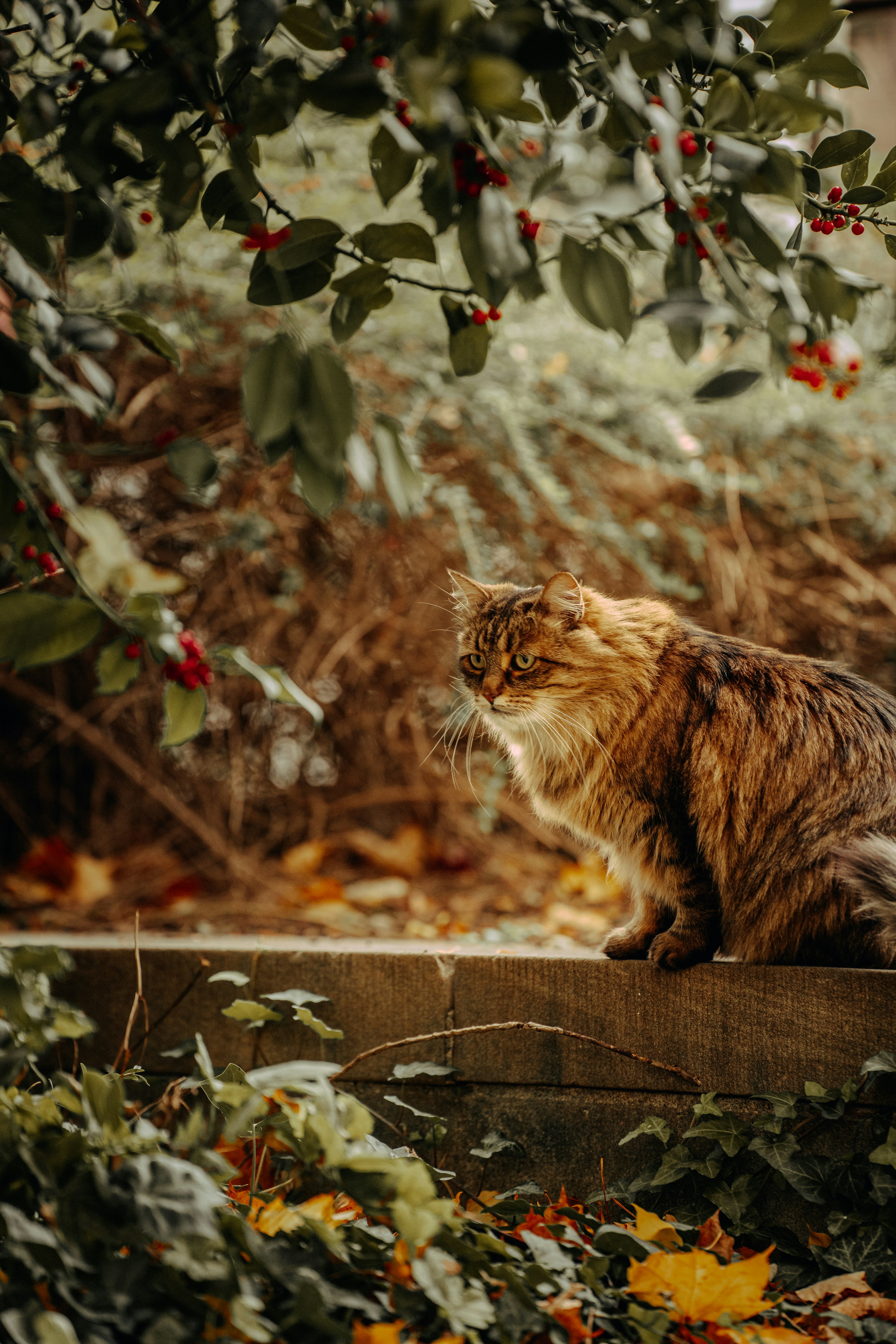 Photo by watchelijah