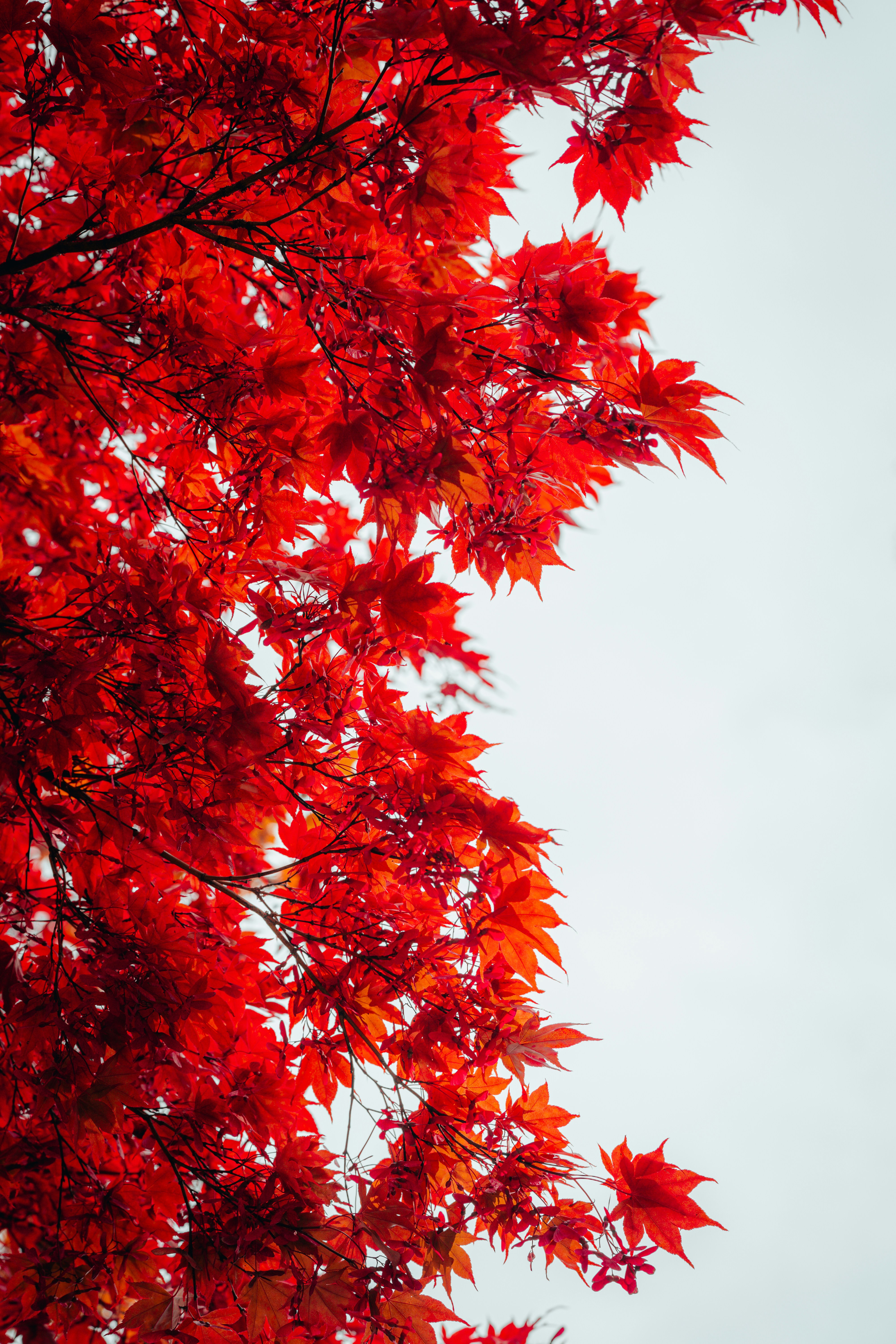 Photo by watchelijah